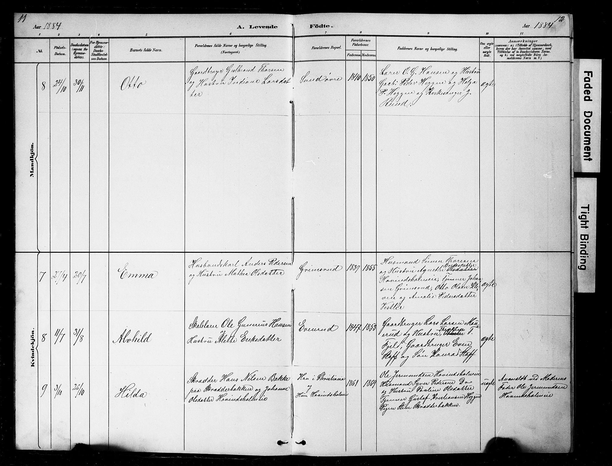 Nes prestekontor, Hedmark, AV/SAH-PREST-020/L/La/L0016: Parish register (copy) no. 16, 1883-1900, p. 11-12