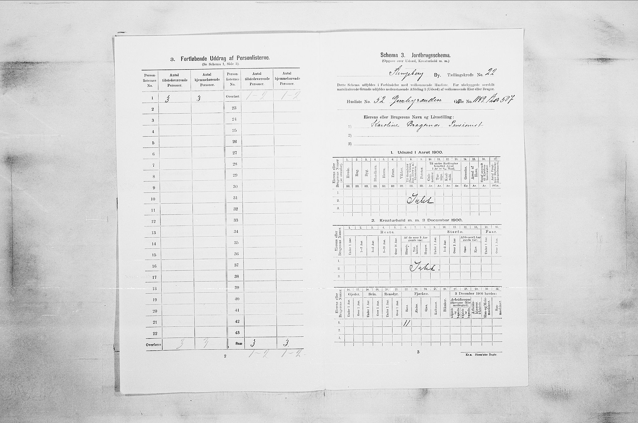 RA, 1900 census for Kongsberg, 1900, p. 4495