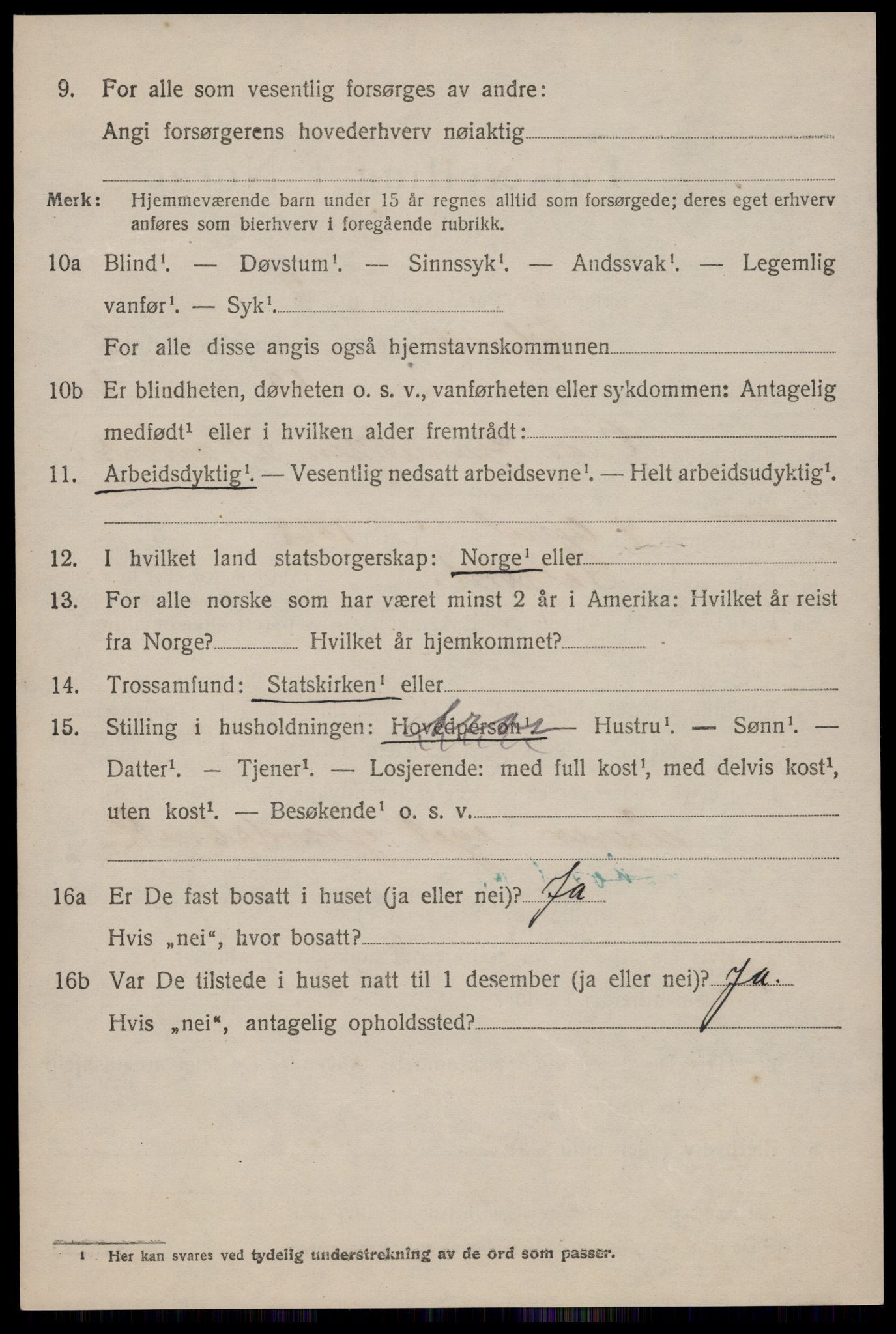 SAKO, 1920 census for Seljord, 1920, p. 4043