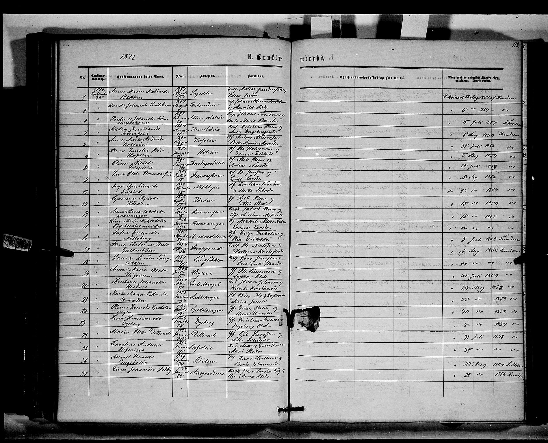Stange prestekontor, SAH/PREST-002/K/L0014: Parish register (official) no. 14, 1862-1879, p. 113