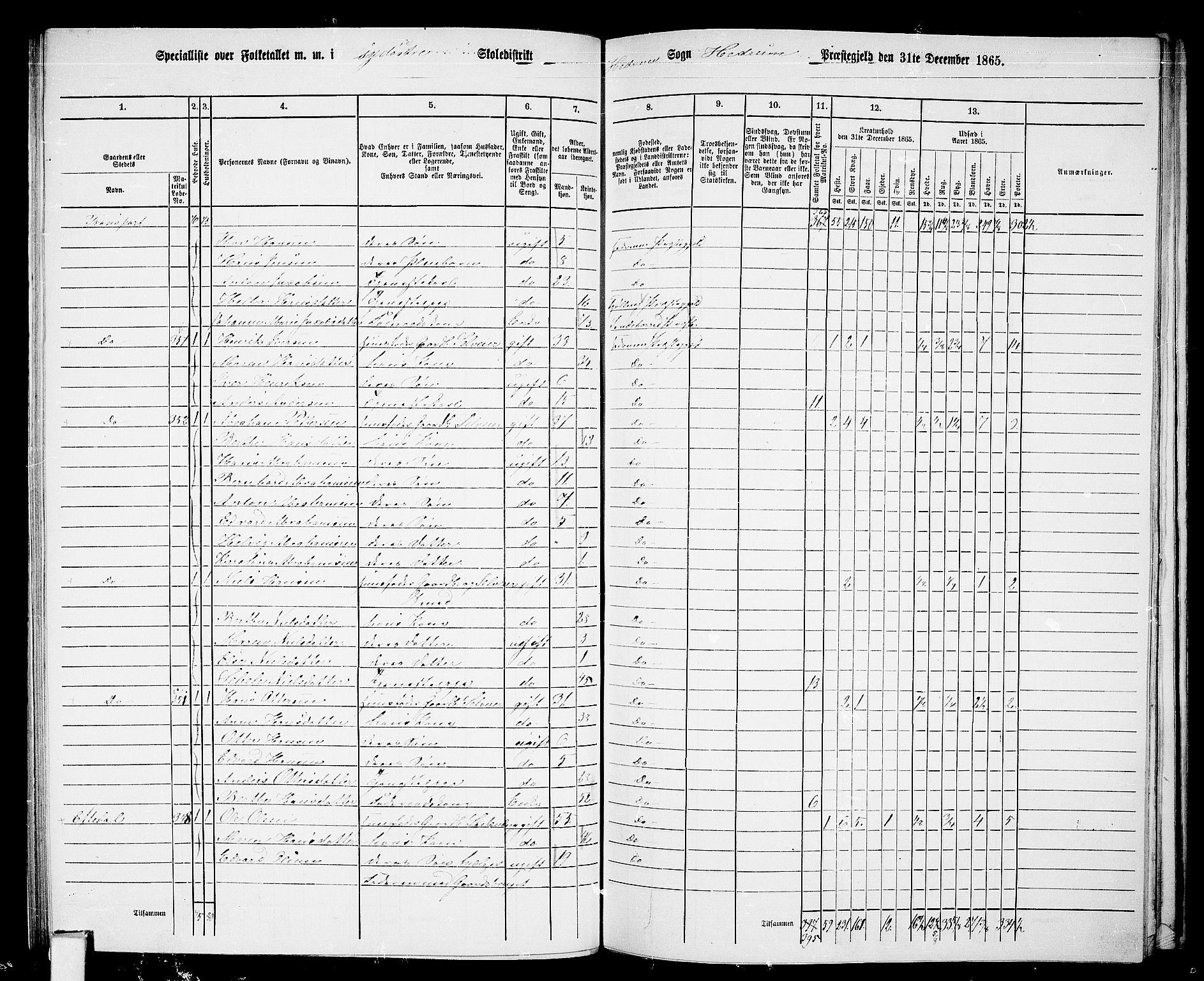 RA, 1865 census for Hedrum, 1865, p. 64