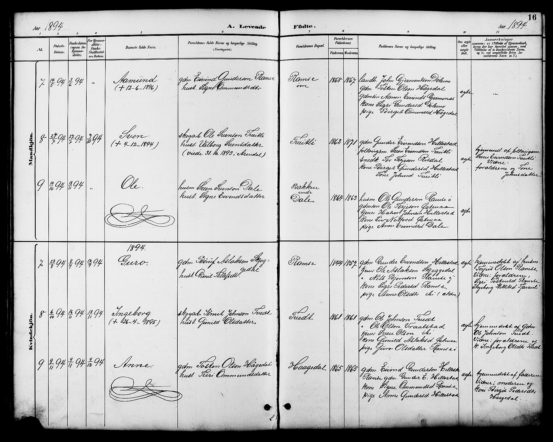 Åmli sokneprestkontor, AV/SAK-1111-0050/F/Fb/Fbb/L0002: Parish register (copy) no. B 2, 1890-1905, p. 16