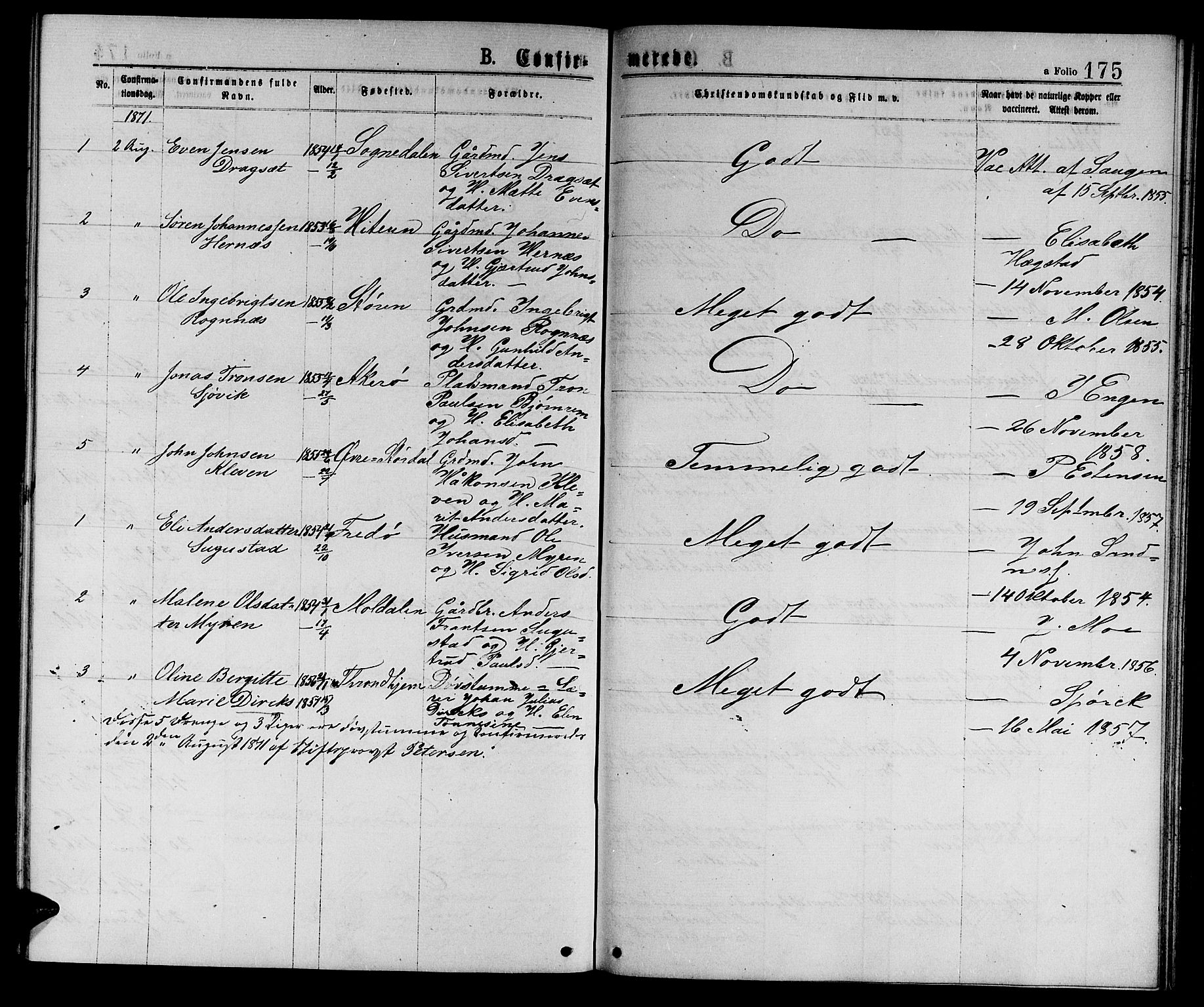 Ministerialprotokoller, klokkerbøker og fødselsregistre - Sør-Trøndelag, AV/SAT-A-1456/601/L0088: Parish register (copy) no. 601C06, 1870-1878, p. 175