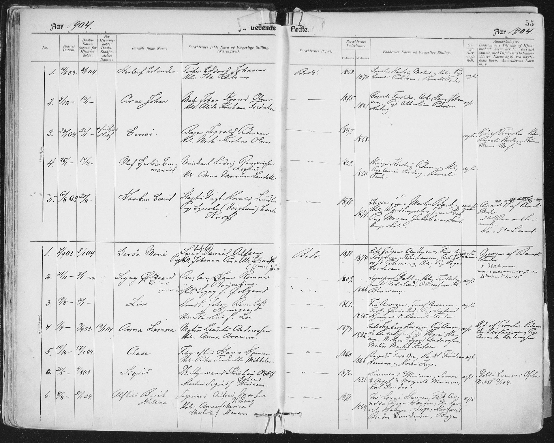 Ministerialprotokoller, klokkerbøker og fødselsregistre - Nordland, SAT/A-1459/801/L0011: Parish register (official) no. 801A11, 1900-1916, p. 55