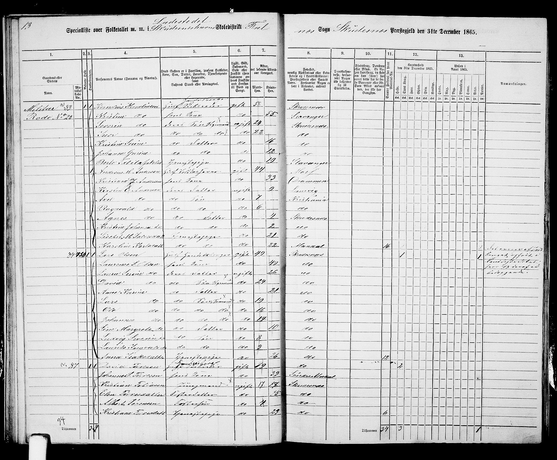 RA, 1865 census for Skudenes, 1865, p. 225
