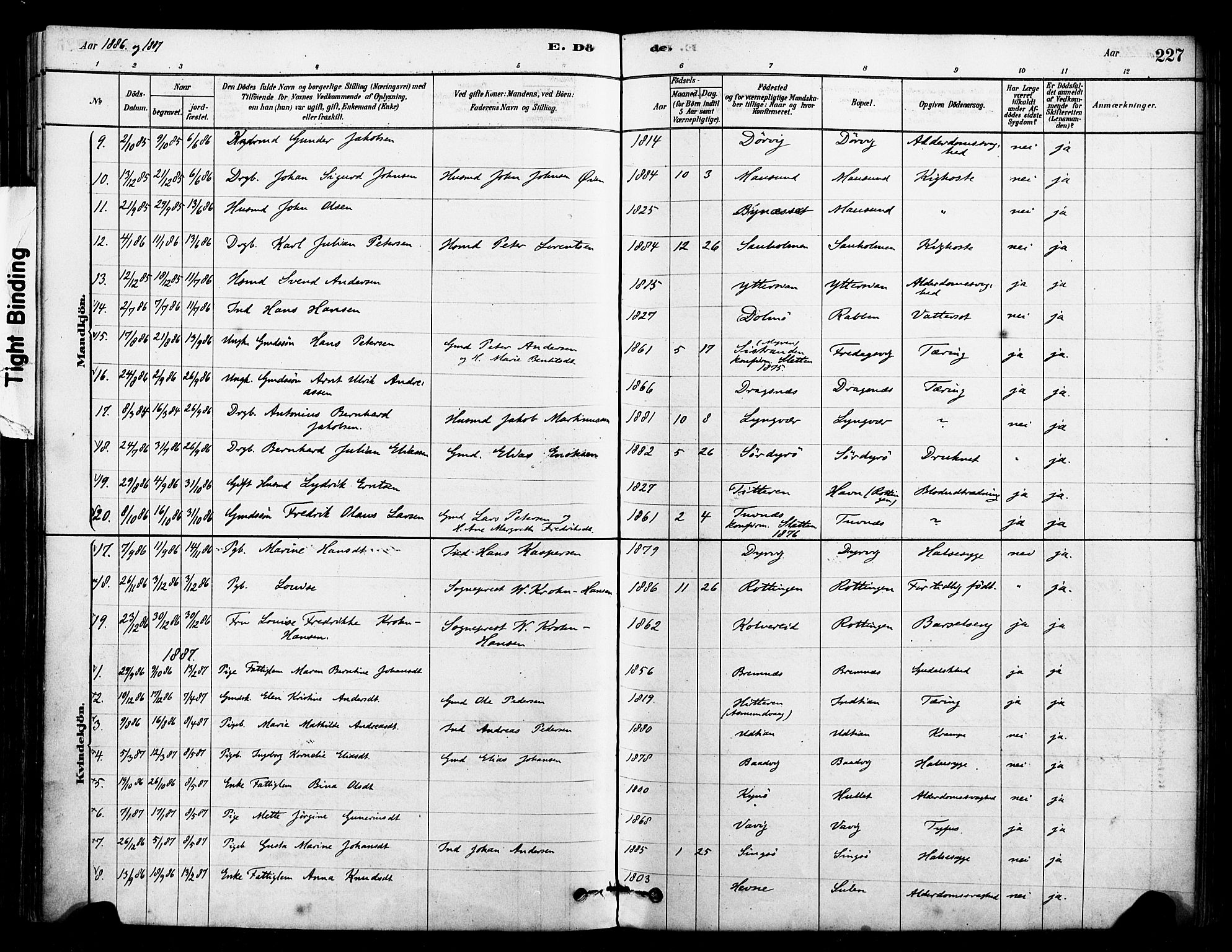 Ministerialprotokoller, klokkerbøker og fødselsregistre - Sør-Trøndelag, SAT/A-1456/640/L0578: Parish register (official) no. 640A03, 1879-1889, p. 227