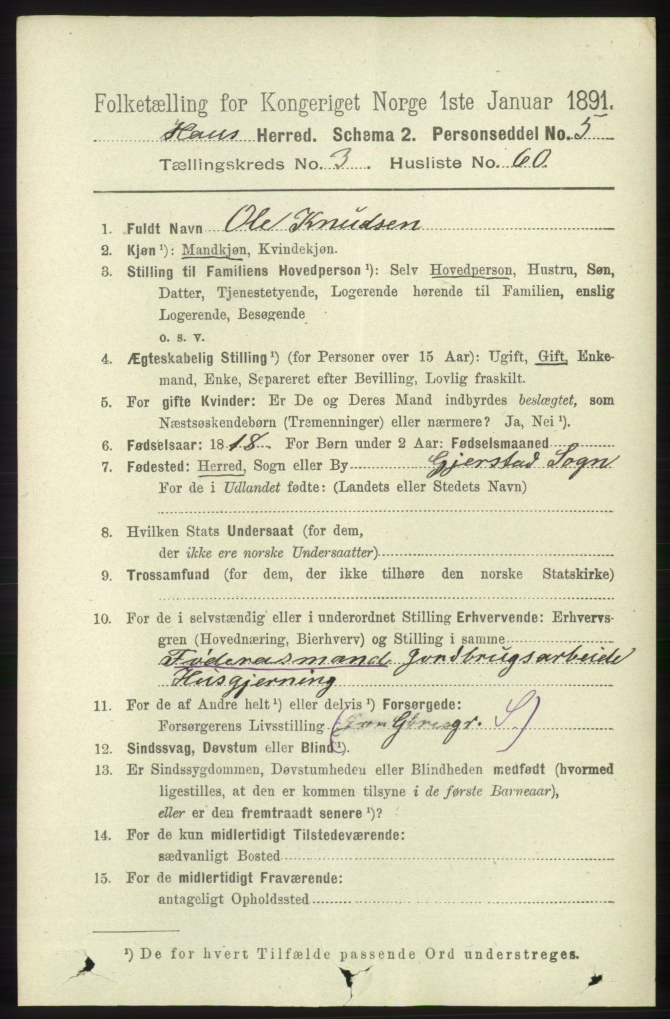 RA, 1891 census for 1250 Haus, 1891, p. 1339