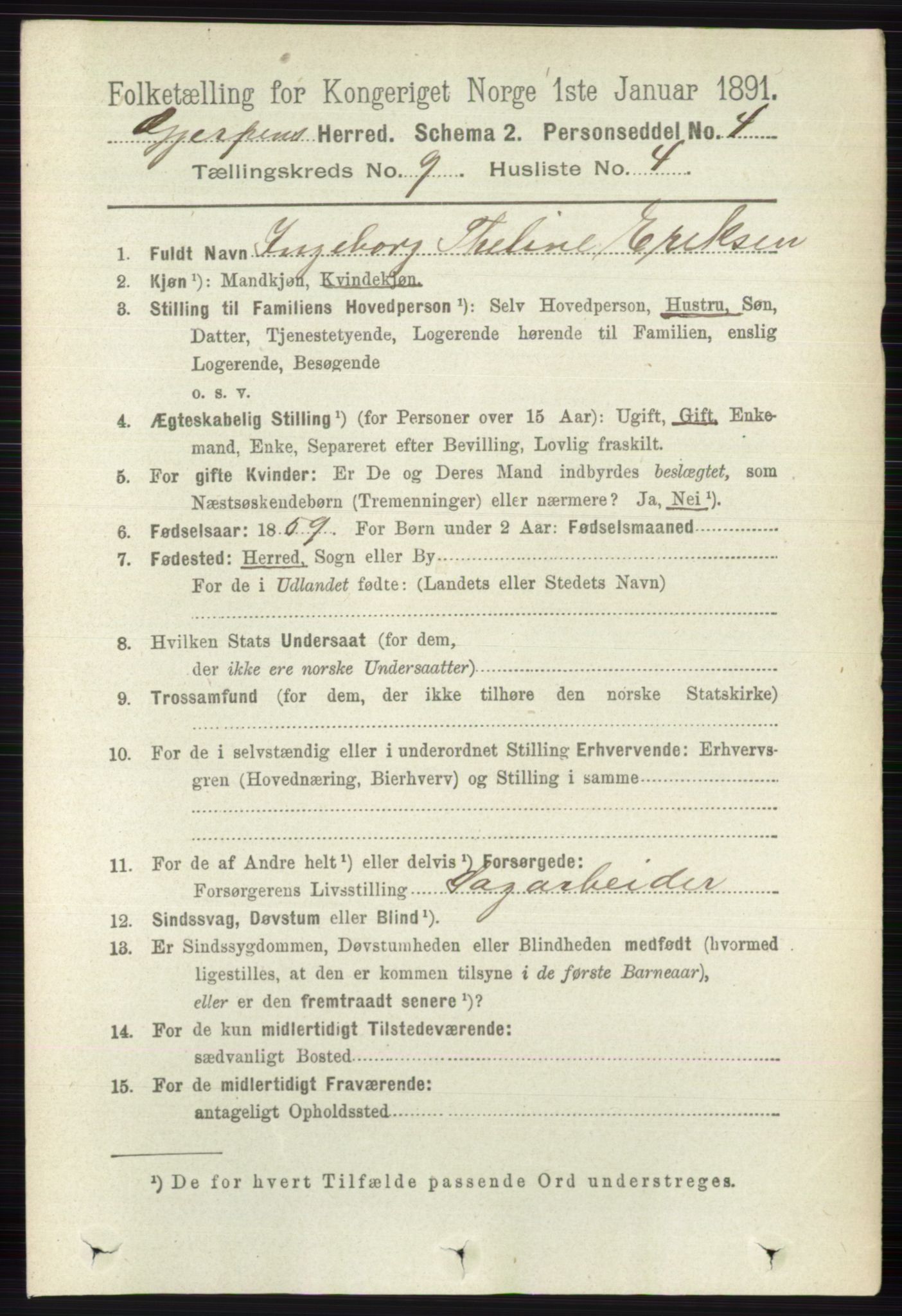 RA, 1891 census for 0812 Gjerpen, 1891, p. 5003