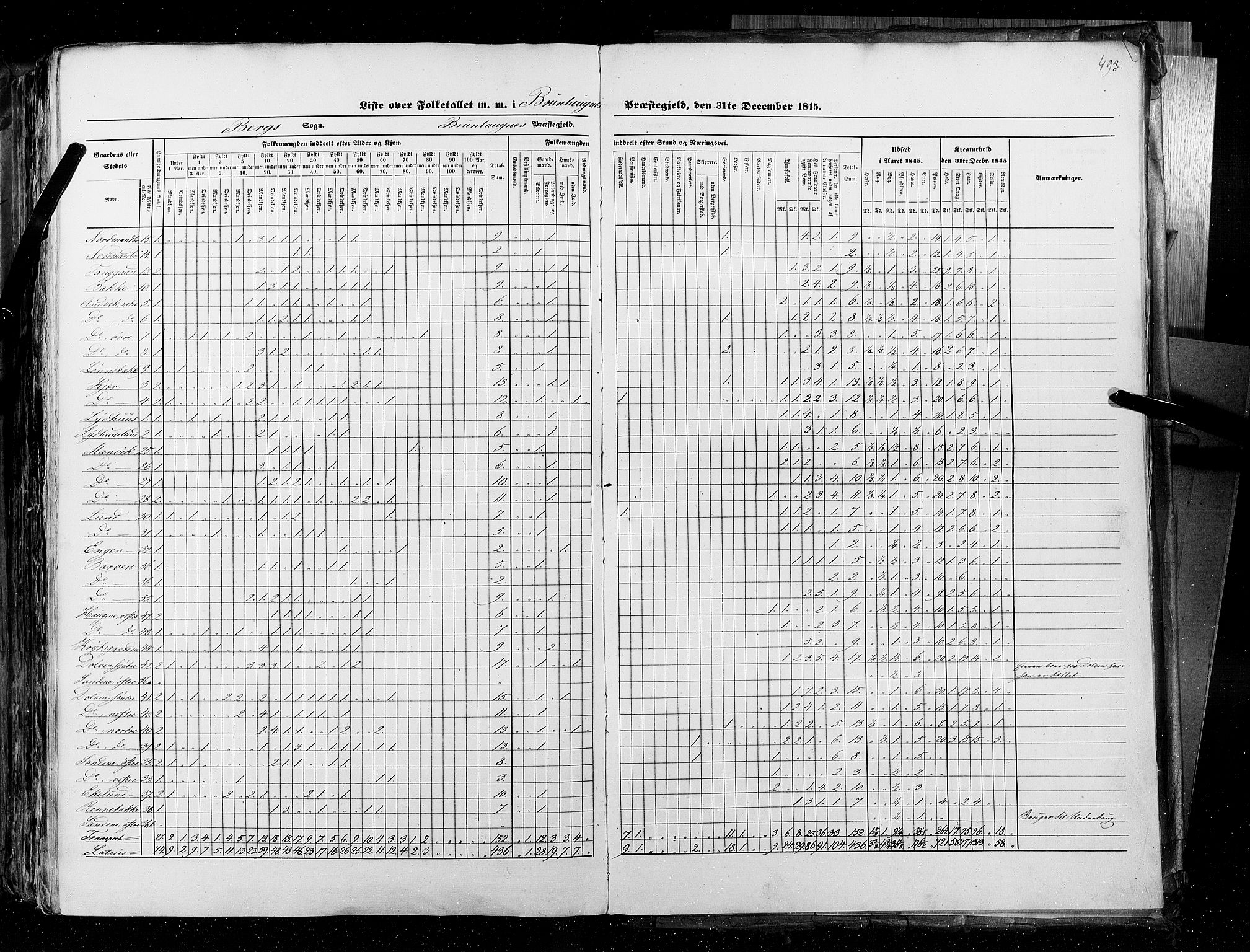 RA, Census 1845, vol. 4: Buskerud amt og Jarlsberg og Larvik amt, 1845, p. 493