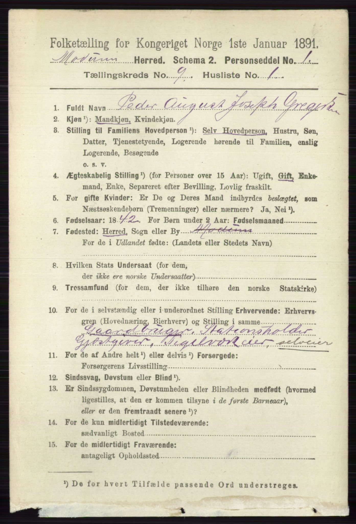 RA, 1891 census for 0623 Modum, 1891, p. 3455