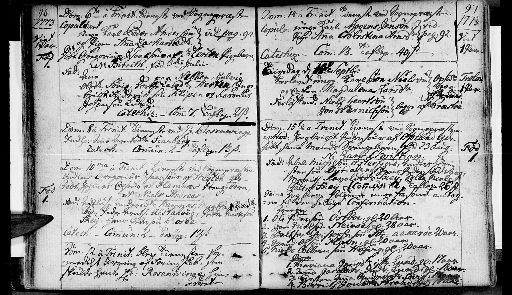 Ministerialprotokoller, klokkerbøker og fødselsregistre - Nordland, AV/SAT-A-1459/830/L0436: Parish register (official) no. 830A05 /1, 1737-1804, p. 96-97