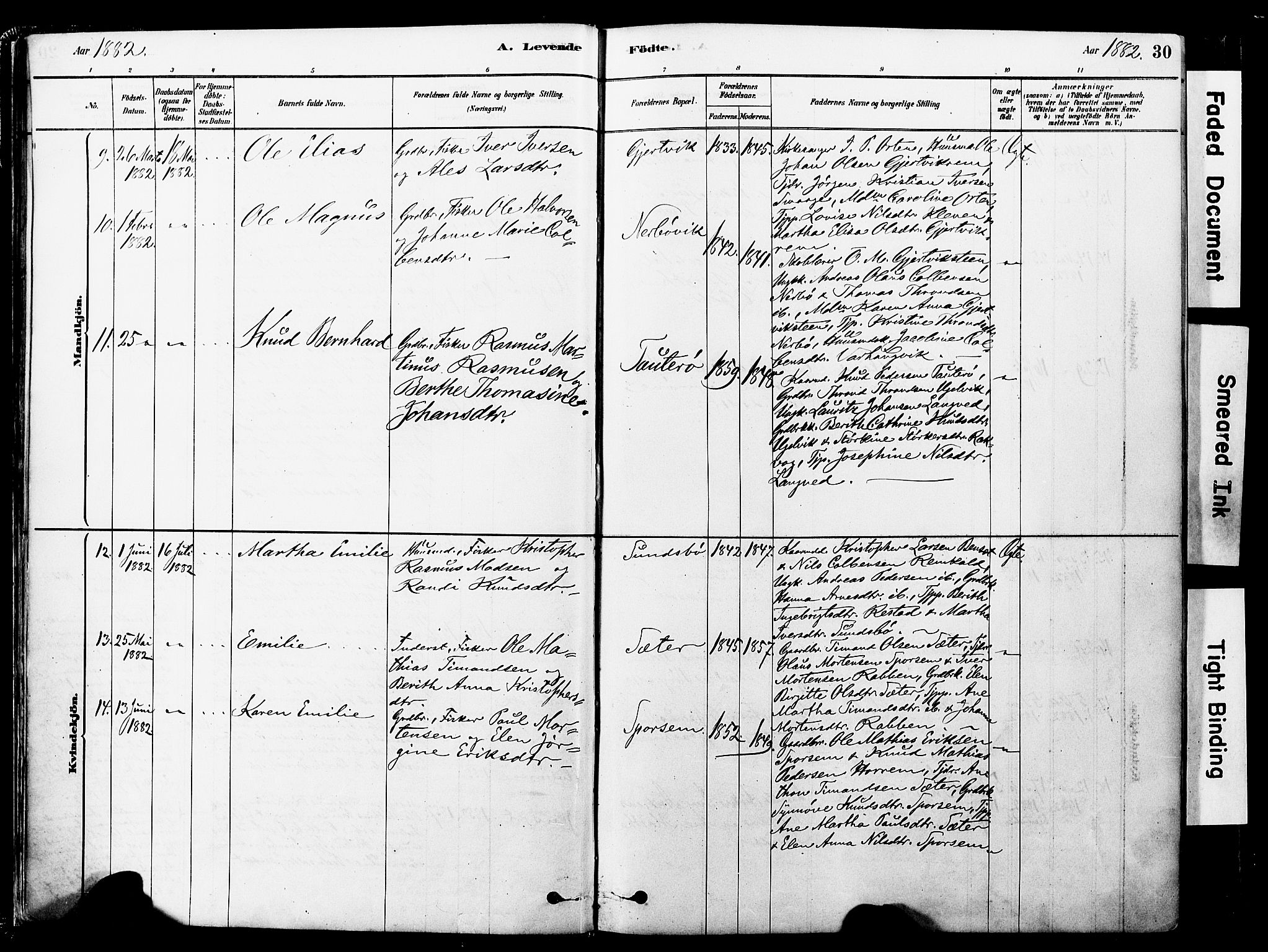 Ministerialprotokoller, klokkerbøker og fødselsregistre - Møre og Romsdal, SAT/A-1454/560/L0721: Parish register (official) no. 560A05, 1878-1917, p. 30