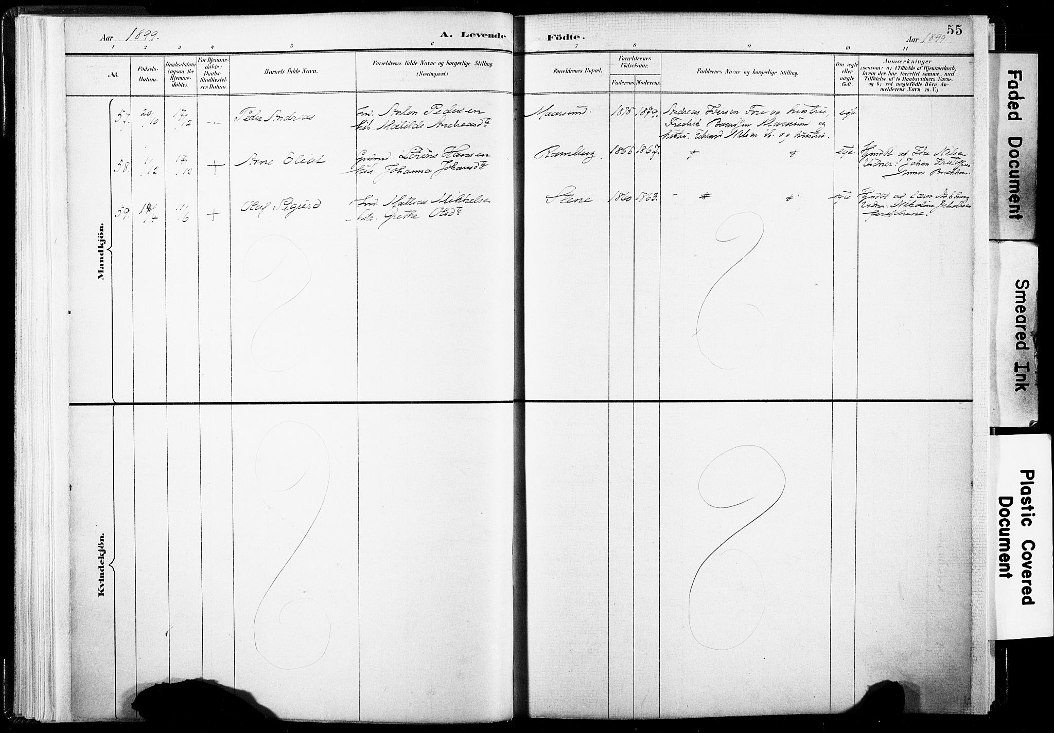 Ministerialprotokoller, klokkerbøker og fødselsregistre - Nordland, AV/SAT-A-1459/891/L1304: Parish register (official) no. 891A09, 1895-1921, p. 55