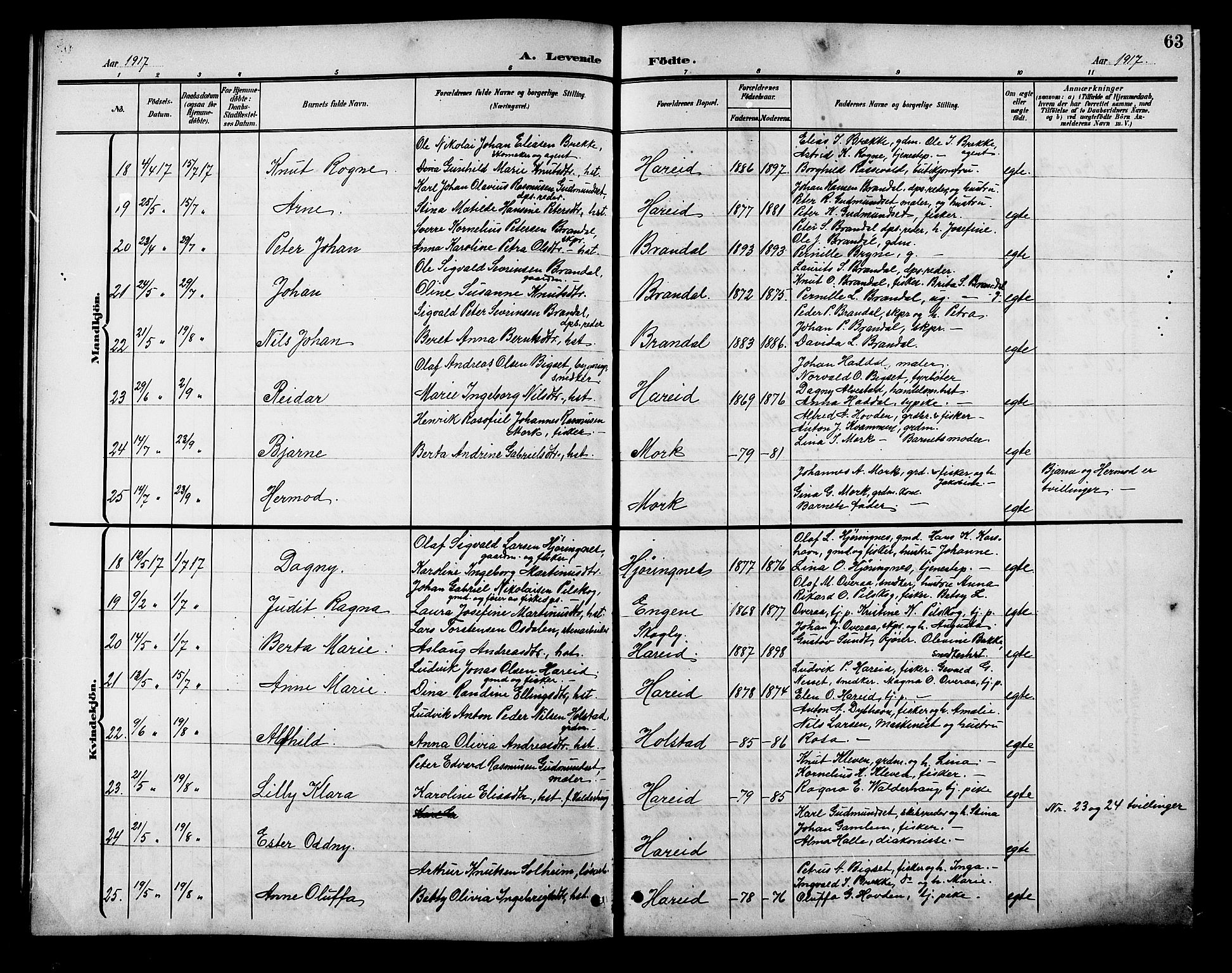 Ministerialprotokoller, klokkerbøker og fødselsregistre - Møre og Romsdal, AV/SAT-A-1454/510/L0126: Parish register (copy) no. 510C03, 1900-1922, p. 63