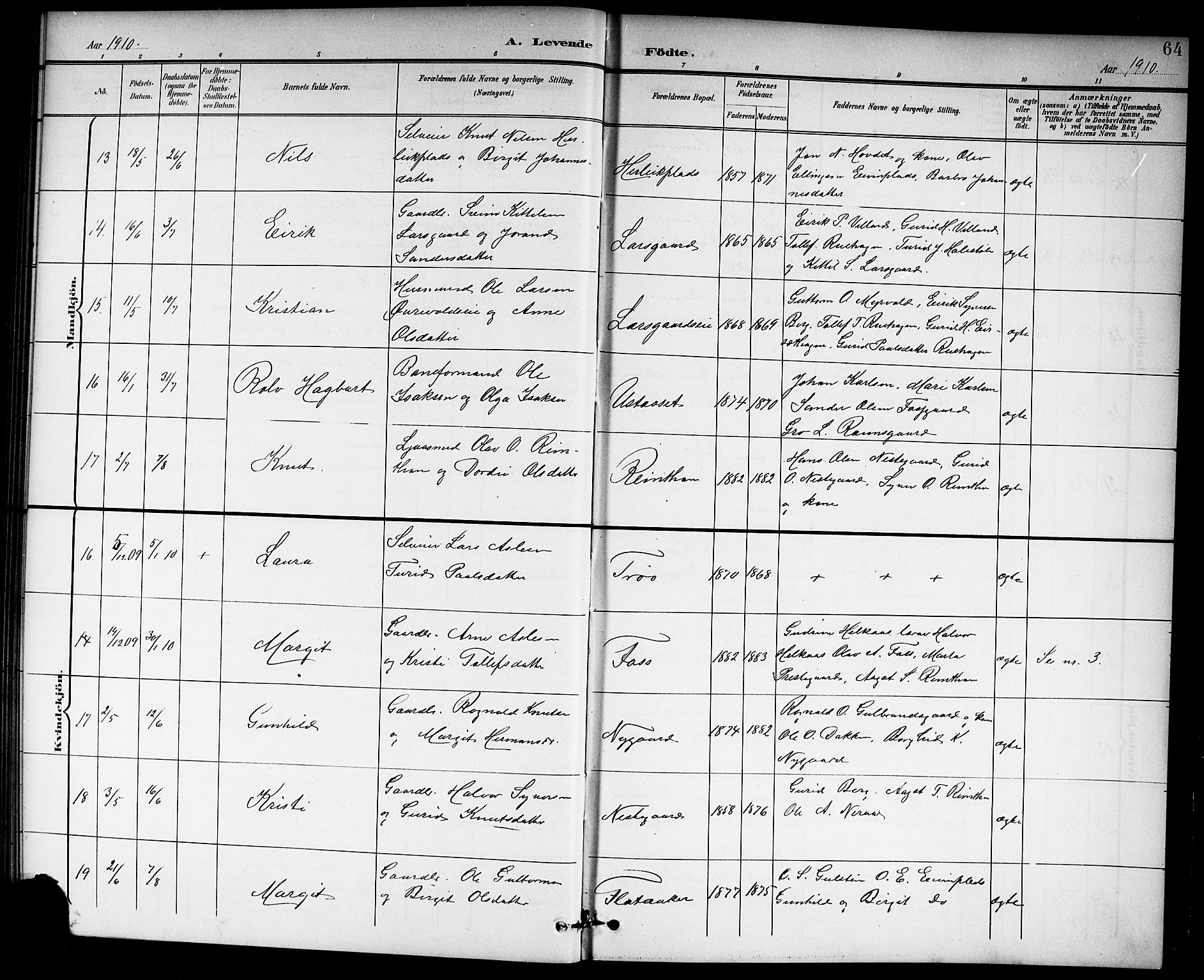 Hol kirkebøker, AV/SAKO-A-227/G/Ga/L0001: Parish register (copy) no. I 1, 1900-1919, p. 64