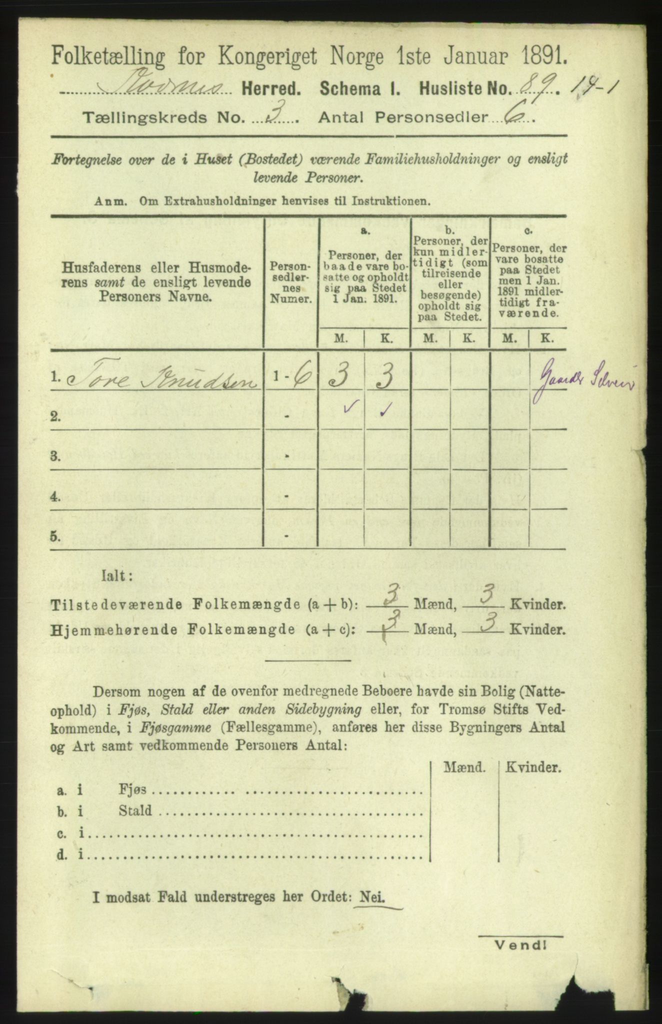 RA, 1891 census for 1553 Kvernes, 1891, p. 1032