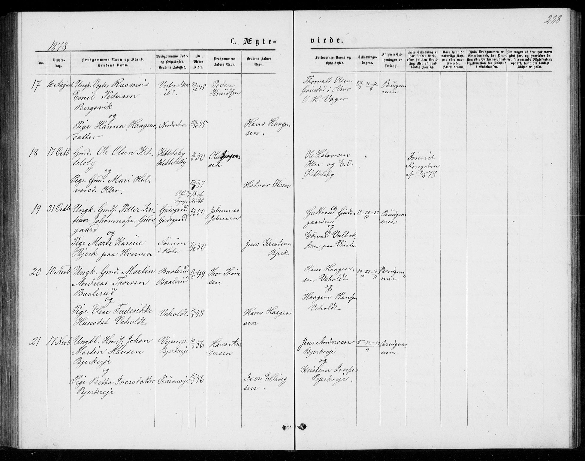 Norderhov kirkebøker, AV/SAKO-A-237/G/Ga/L0007: Parish register (copy) no. I 7, 1877-1887, p. 228