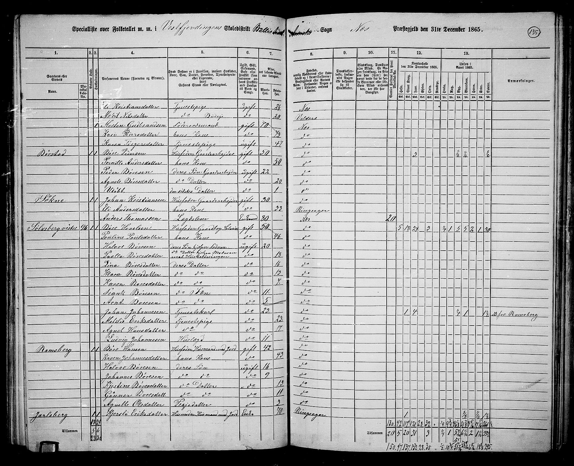 RA, 1865 census for Nes, 1865, p. 115