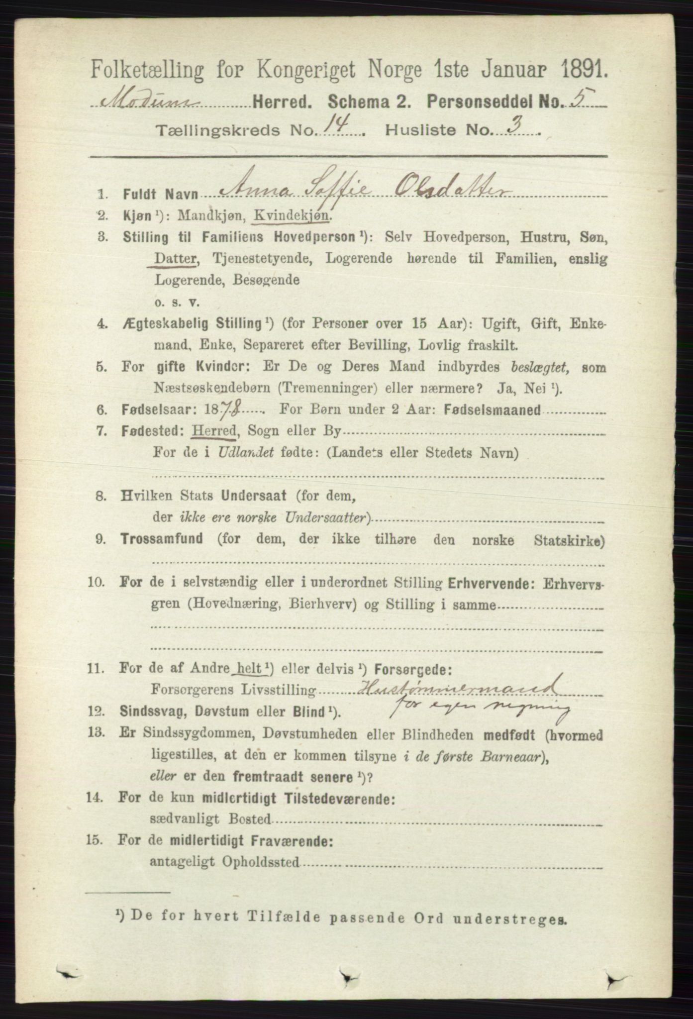 RA, 1891 census for 0623 Modum, 1891, p. 5484