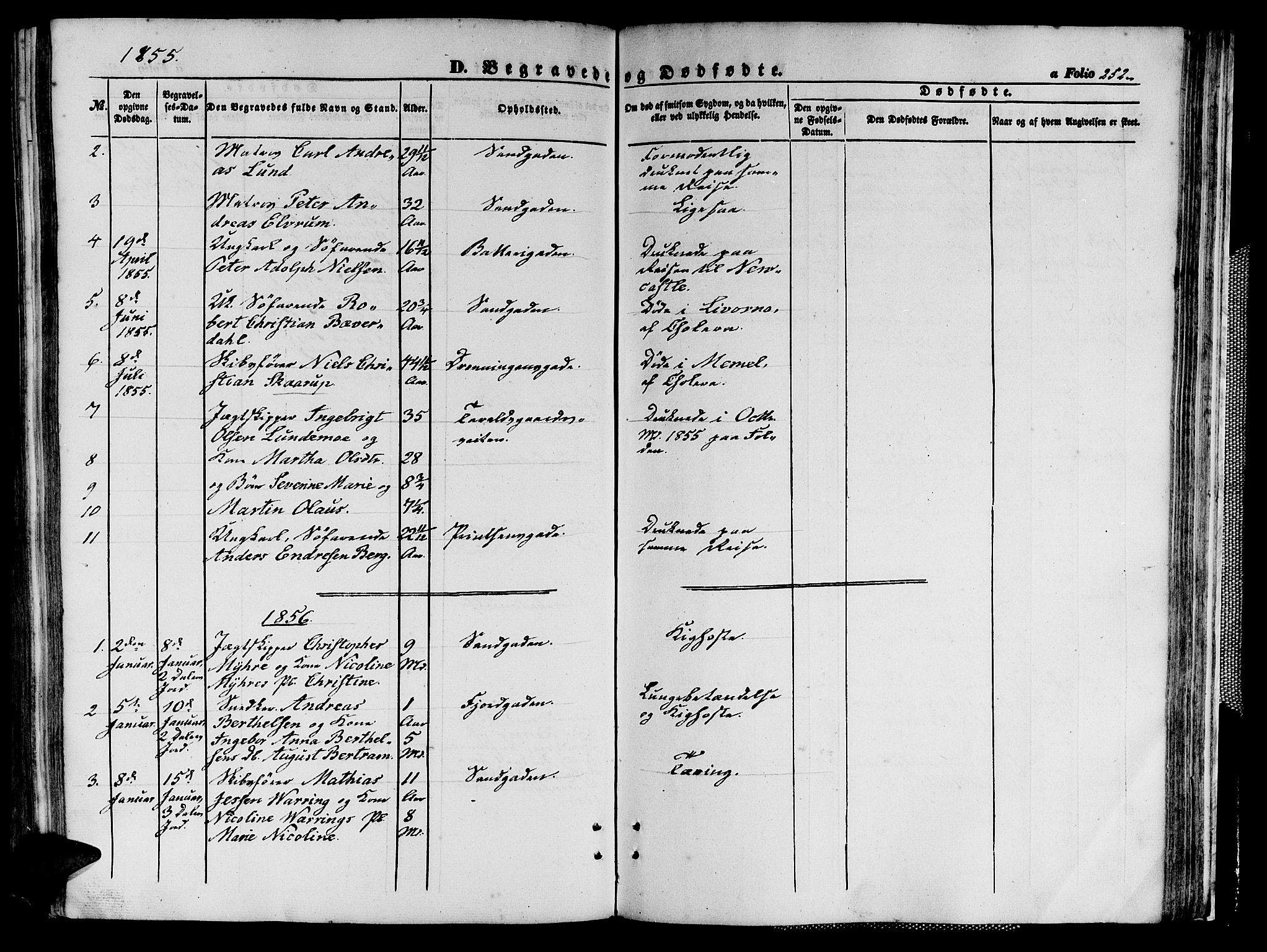 Ministerialprotokoller, klokkerbøker og fødselsregistre - Sør-Trøndelag, SAT/A-1456/602/L0138: Parish register (copy) no. 602C06, 1853-1858, p. 252