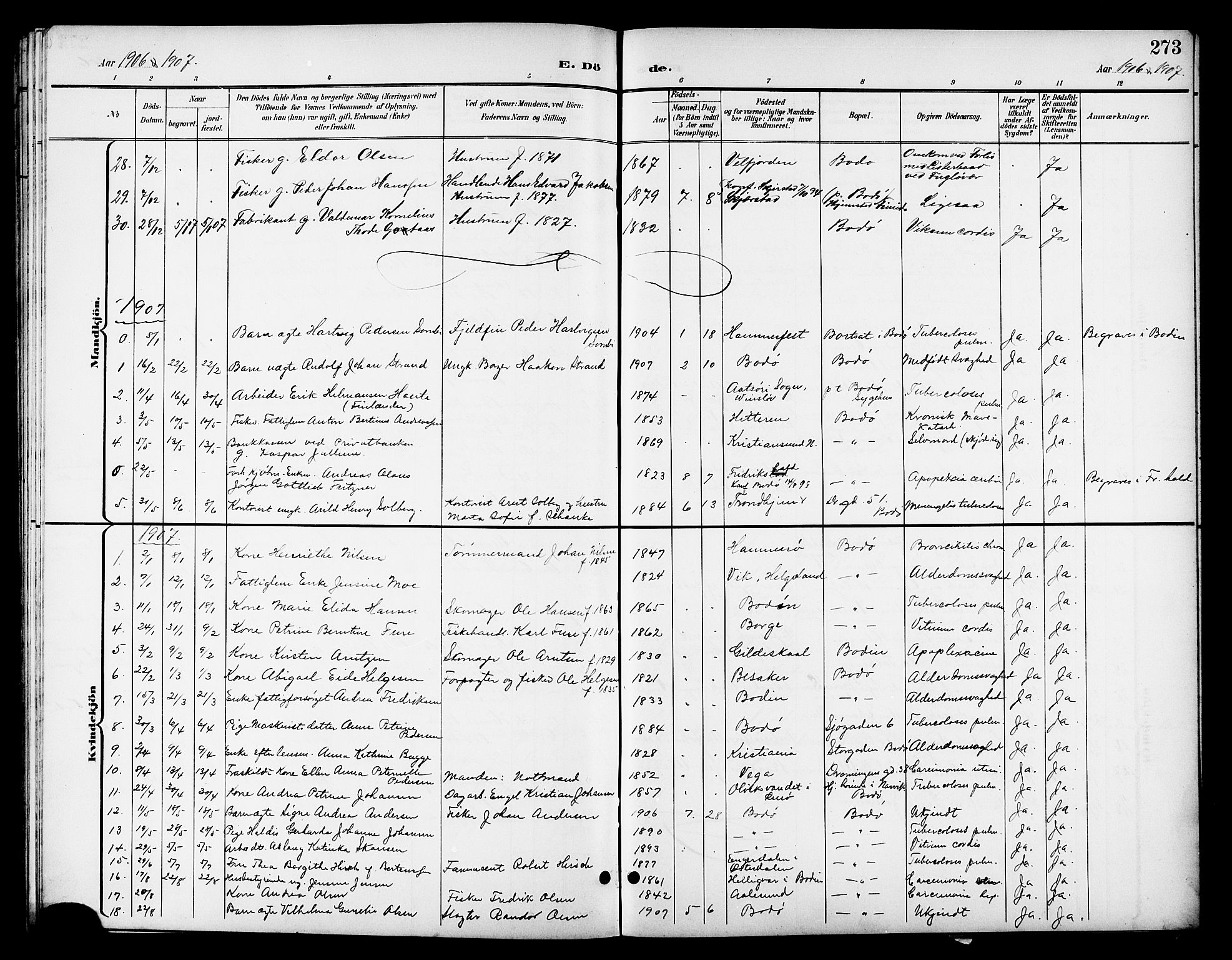 Ministerialprotokoller, klokkerbøker og fødselsregistre - Nordland, AV/SAT-A-1459/801/L0033: Parish register (copy) no. 801C08, 1898-1910, p. 273