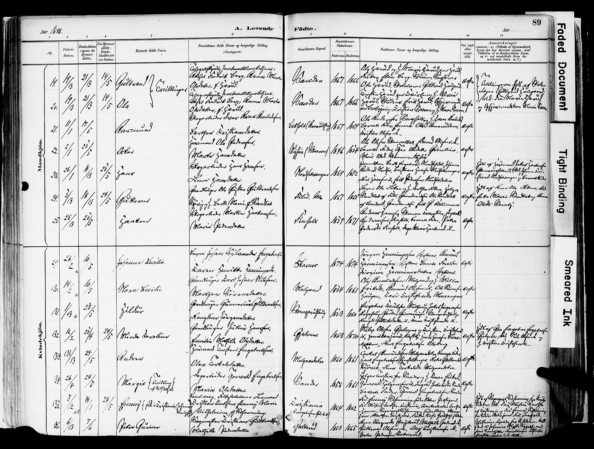 Sør-Odal prestekontor, AV/SAH-PREST-030/H/Ha/Haa/L0006: Parish register (official) no. 6, 1886-1931, p. 89