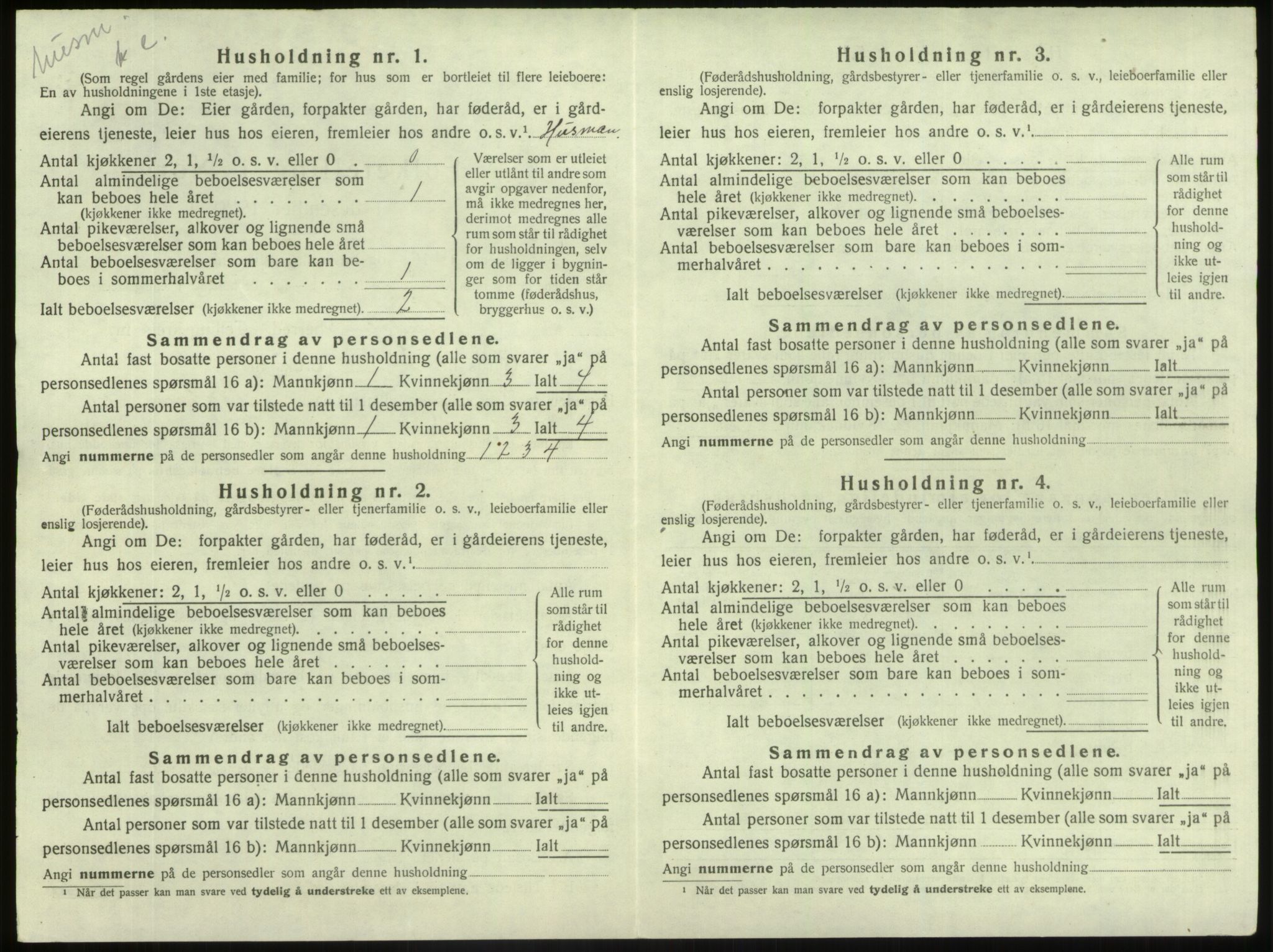 SAB, 1920 census for Jostedal, 1920, p. 303