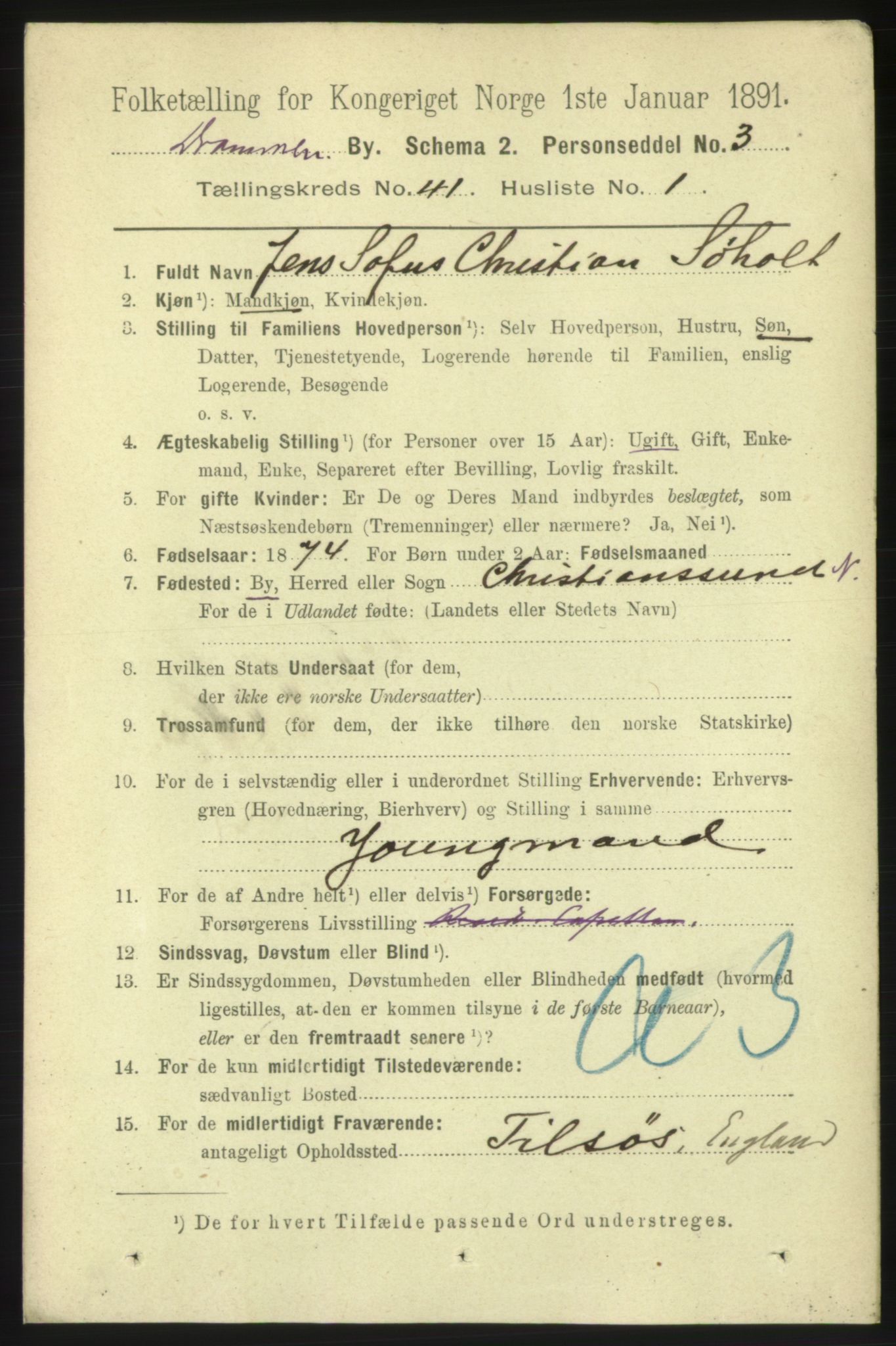 RA, 1891 census for 0602 Drammen, 1891, p. 24154