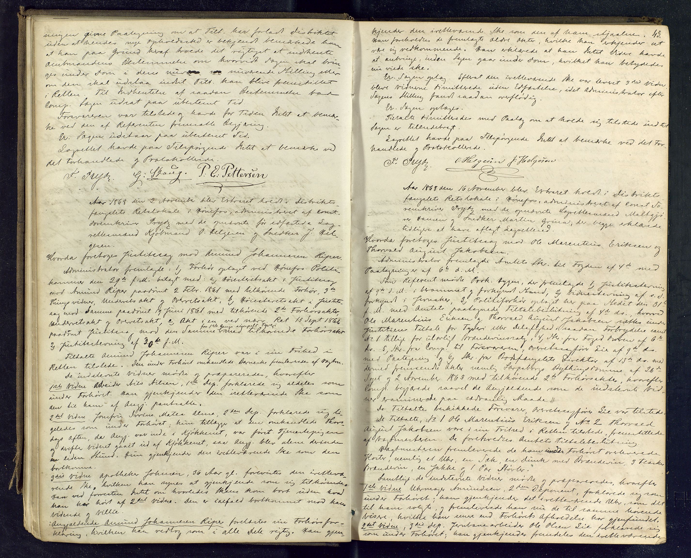 Ringerike sorenskriveri, AV/SAKO-A-105/F/Fc/Fcb/L0003: Ekstrarettsprotokoll, 1868-1878, p. 42-43