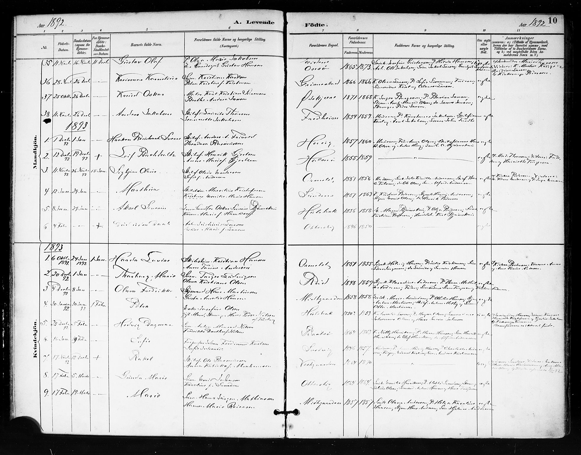 Tjøme kirkebøker, AV/SAKO-A-328/F/Fa/L0003: Parish register (official) no. I 3, 1891-1900, p. 10