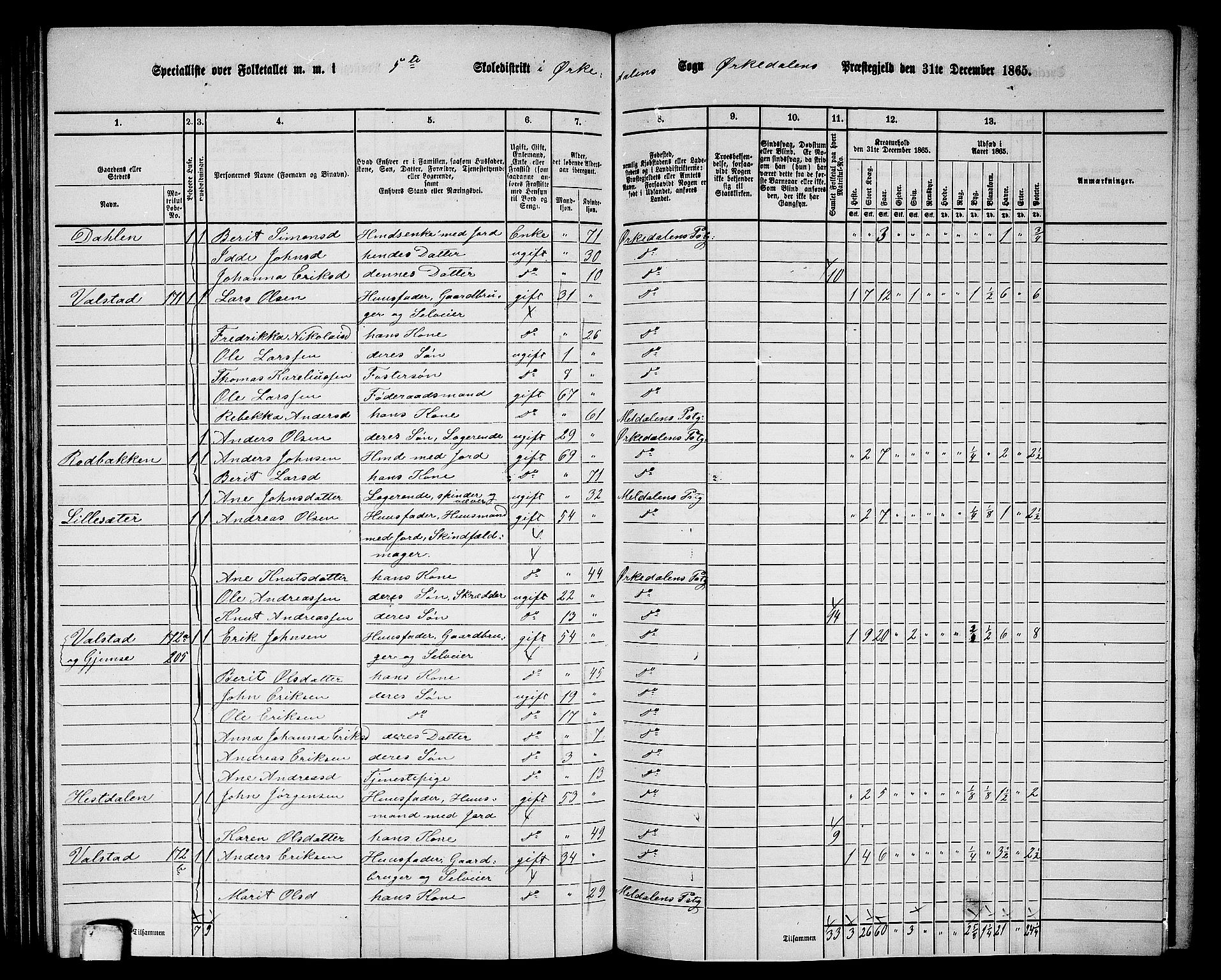 RA, 1865 census for Orkdal, 1865, p. 159