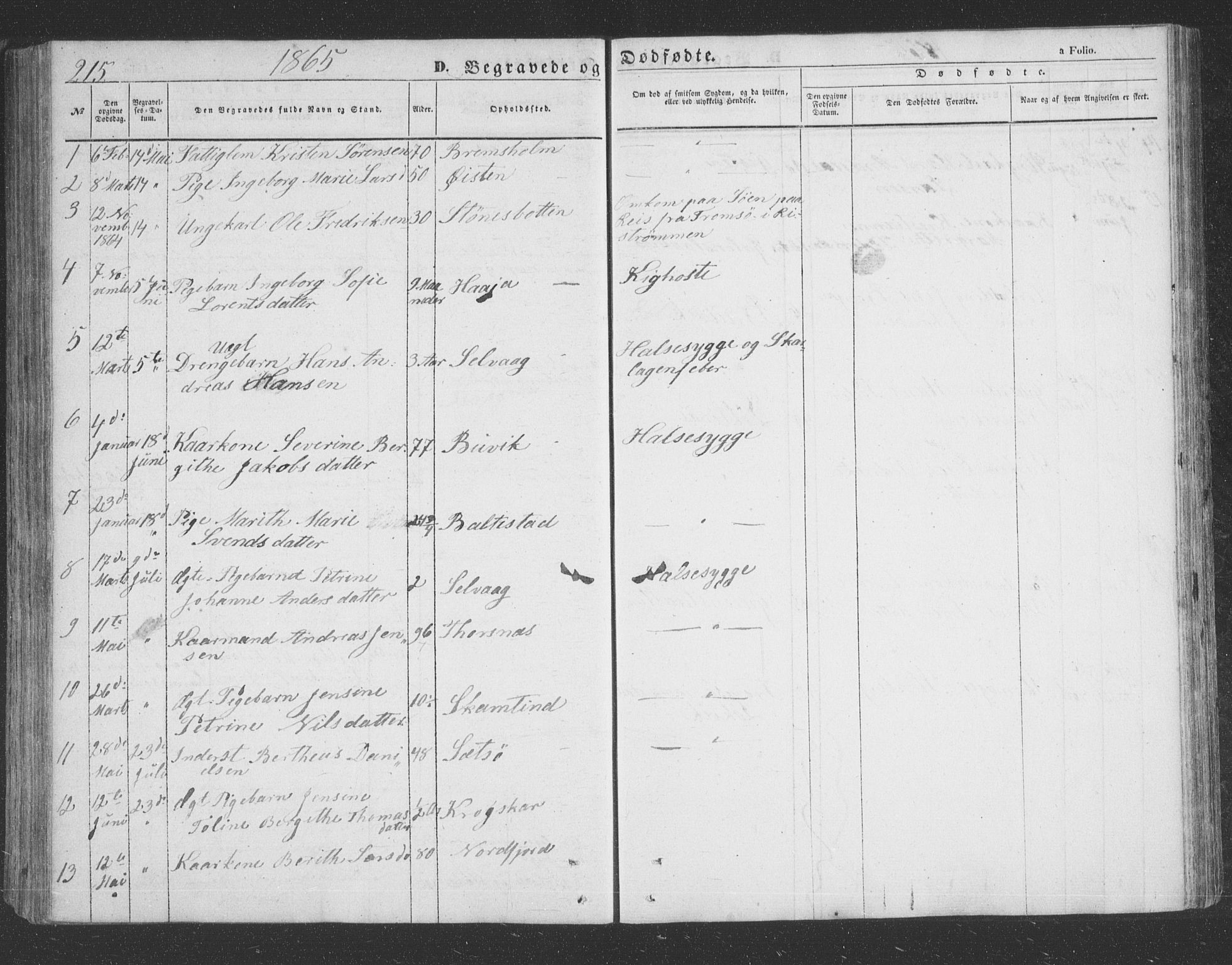 Lenvik sokneprestembete, SATØ/S-1310/H/Ha/Hab/L0020klokker: Parish register (copy) no. 20, 1855-1883, p. 215