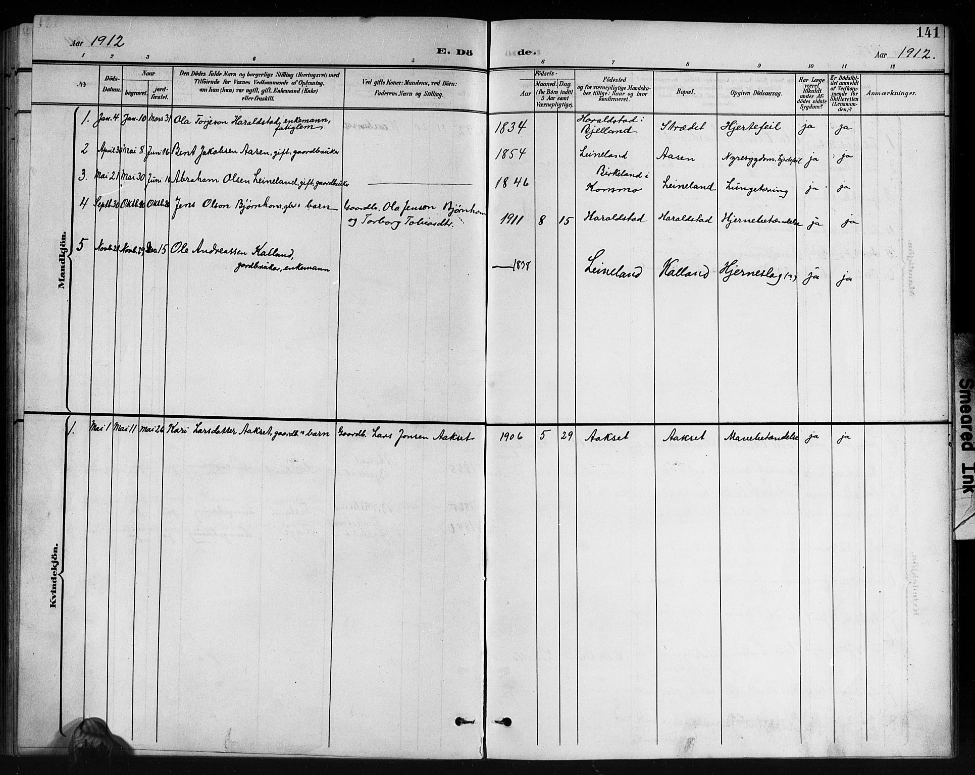 Holum sokneprestkontor, AV/SAK-1111-0022/F/Fb/Fbb/L0004: Parish register (copy) no. B 4, 1899-1920, p. 141