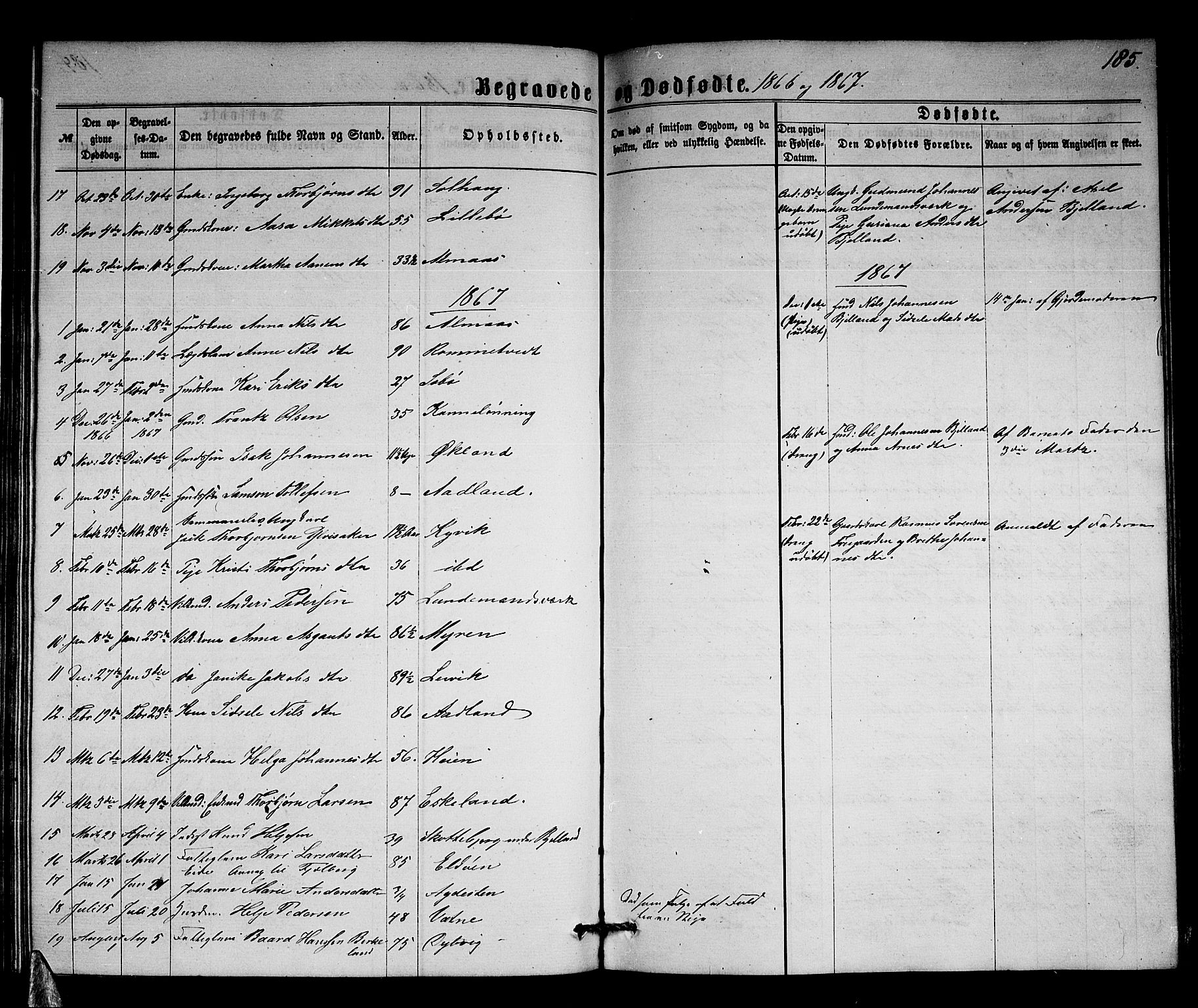 Stord sokneprestembete, SAB/A-78201/H/Hab: Parish register (copy) no. A 1, 1864-1878, p. 185