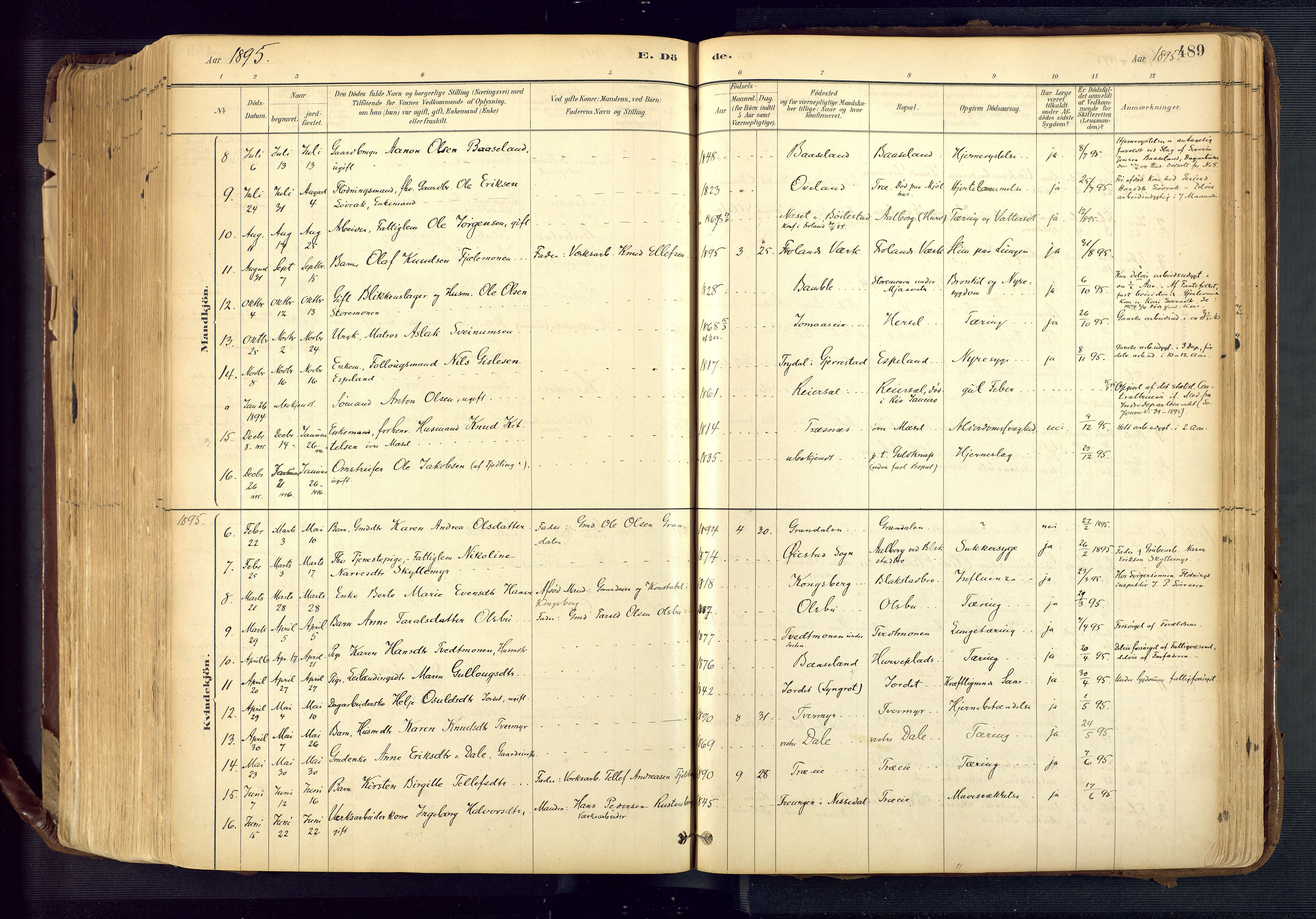 Froland sokneprestkontor, AV/SAK-1111-0013/F/Fa/L0005: Parish register (official) no. A 5, 1882-1921, p. 489