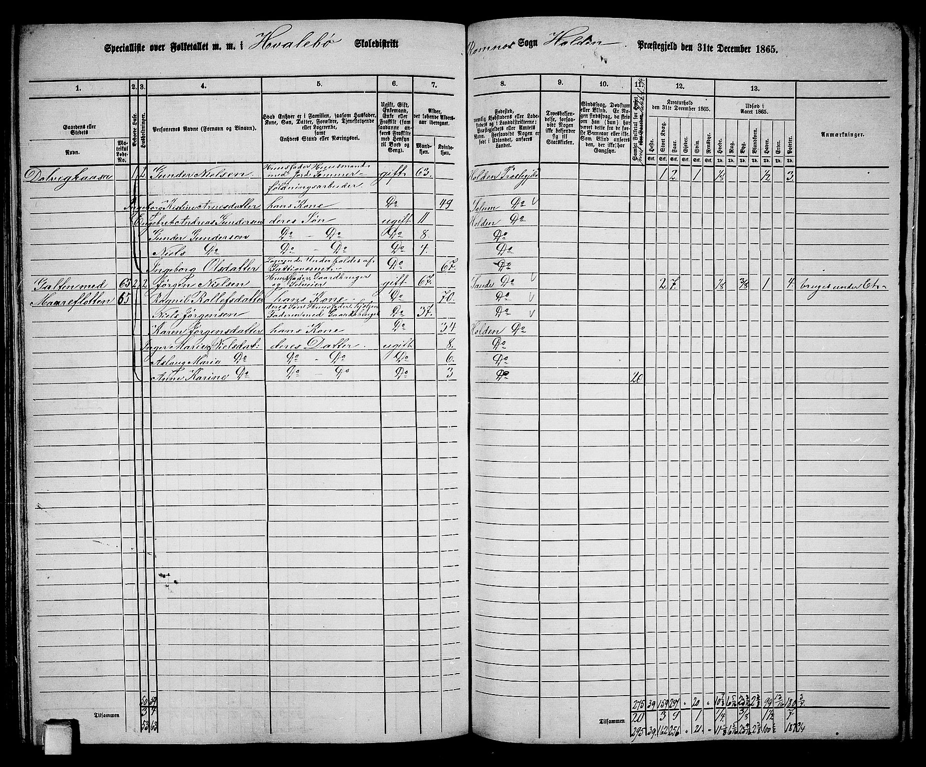 RA, 1865 census for Holla, 1865, p. 130