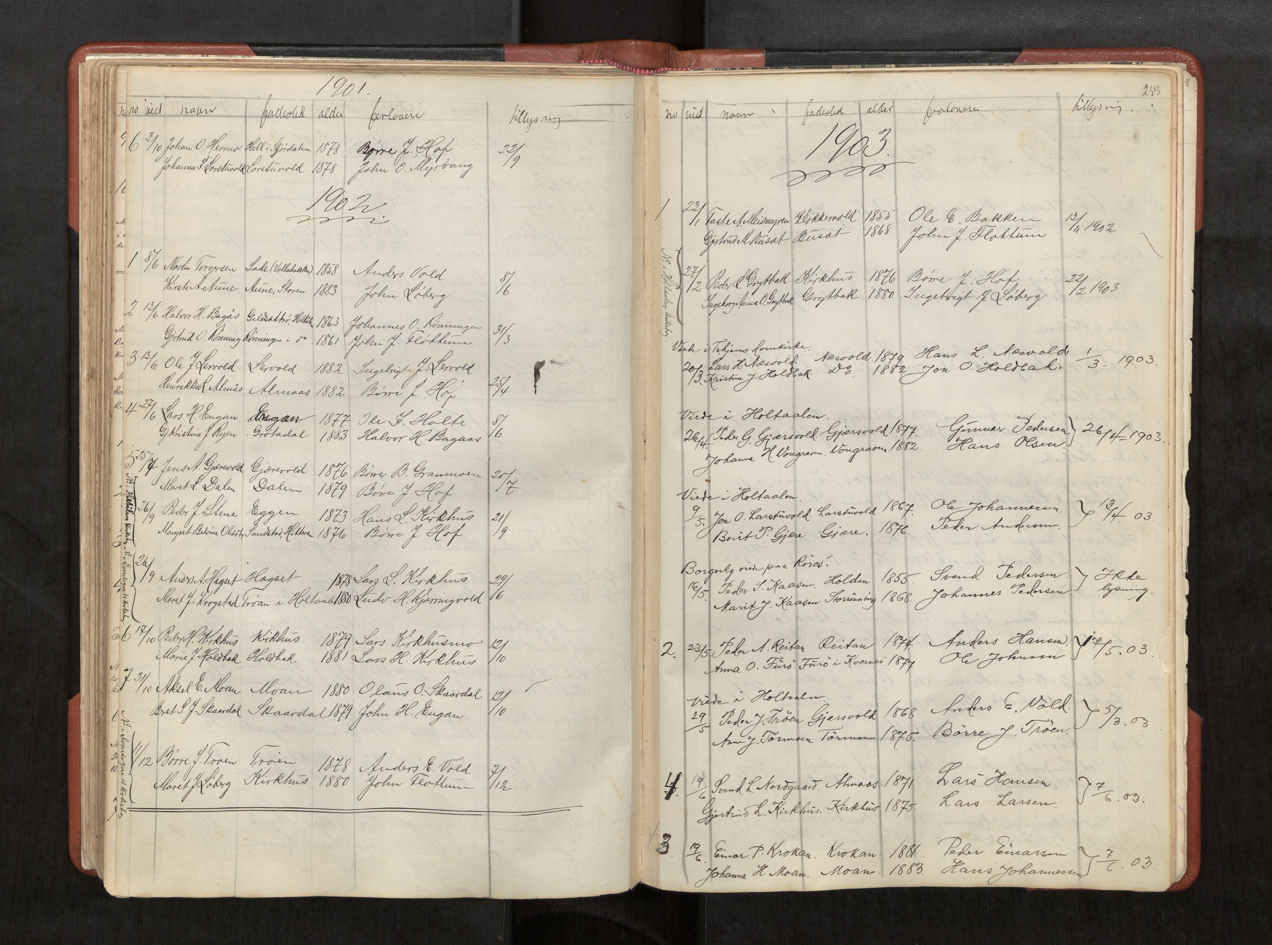 Ministerialprotokoller, klokkerbøker og fødselsregistre - Sør-Trøndelag, SAT/A-1456/686/L0985: Parish register (copy) no. 686C01, 1871-1933, p. 253