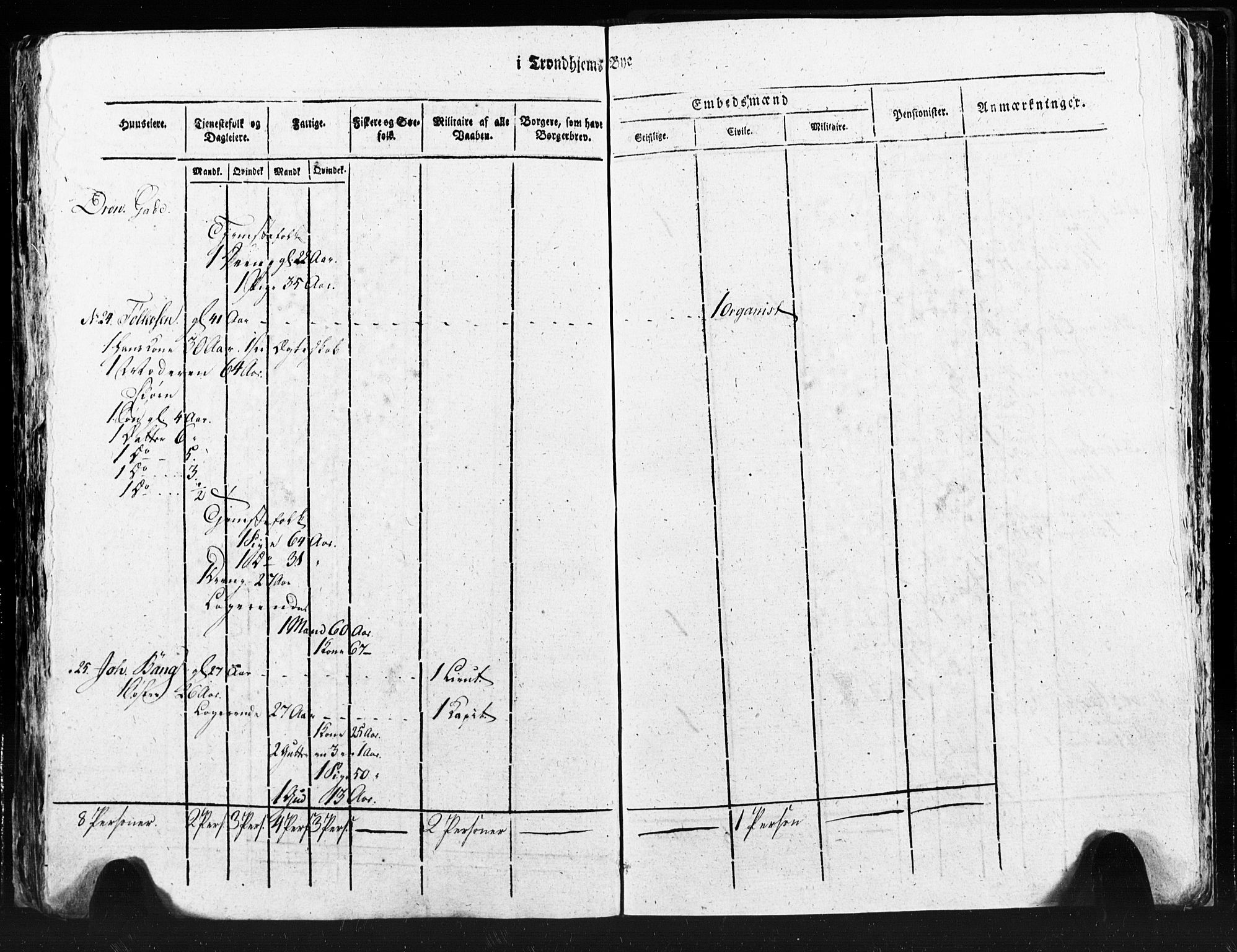 SAT, Census 1815 for Trondheim (transcript), 1815, p. 132