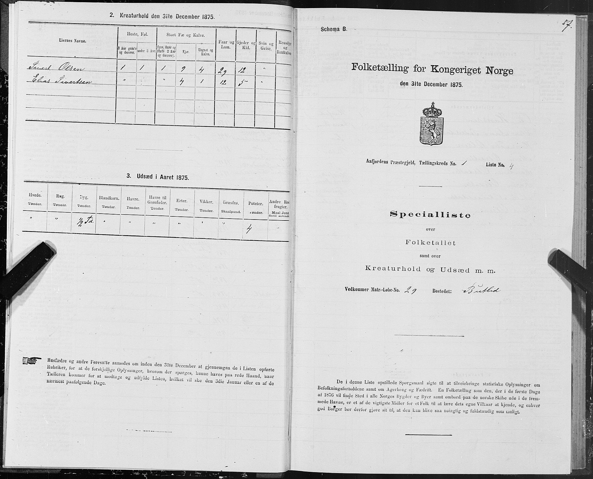 SAT, 1875 census for 1630P Aafjorden, 1875, p. 1007