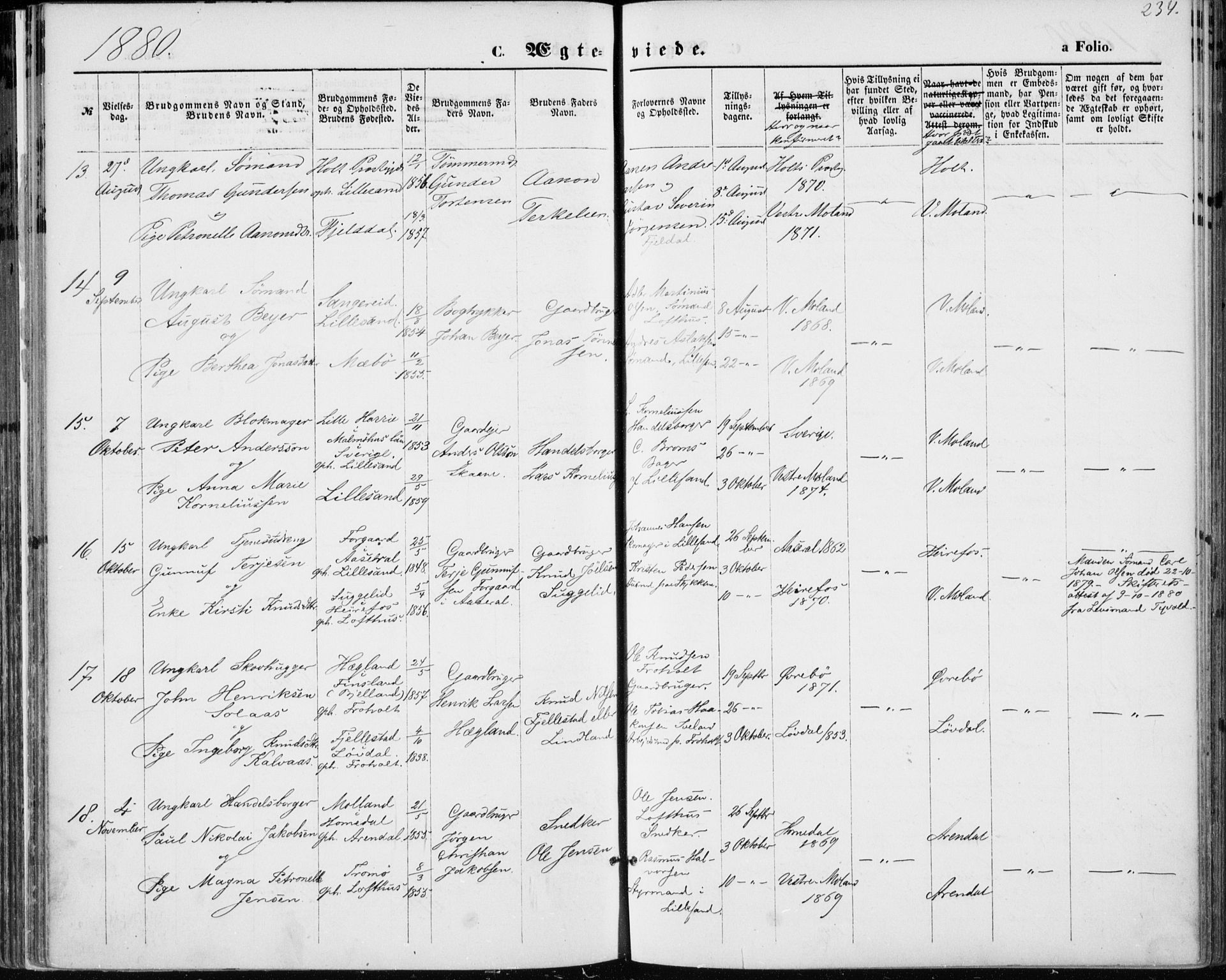 Vestre Moland sokneprestkontor, SAK/1111-0046/F/Fa/Fab/L0008: Parish register (official) no. A 8, 1873-1883, p. 234