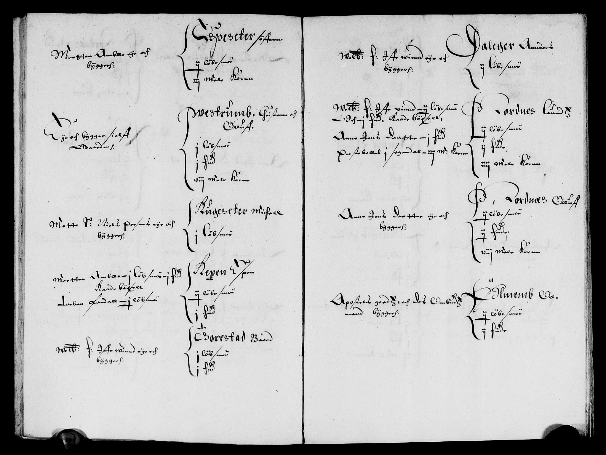 Rentekammeret inntil 1814, Reviderte regnskaper, Lensregnskaper, AV/RA-EA-5023/R/Rb/Rbt/L0132: Bergenhus len, 1655-1656