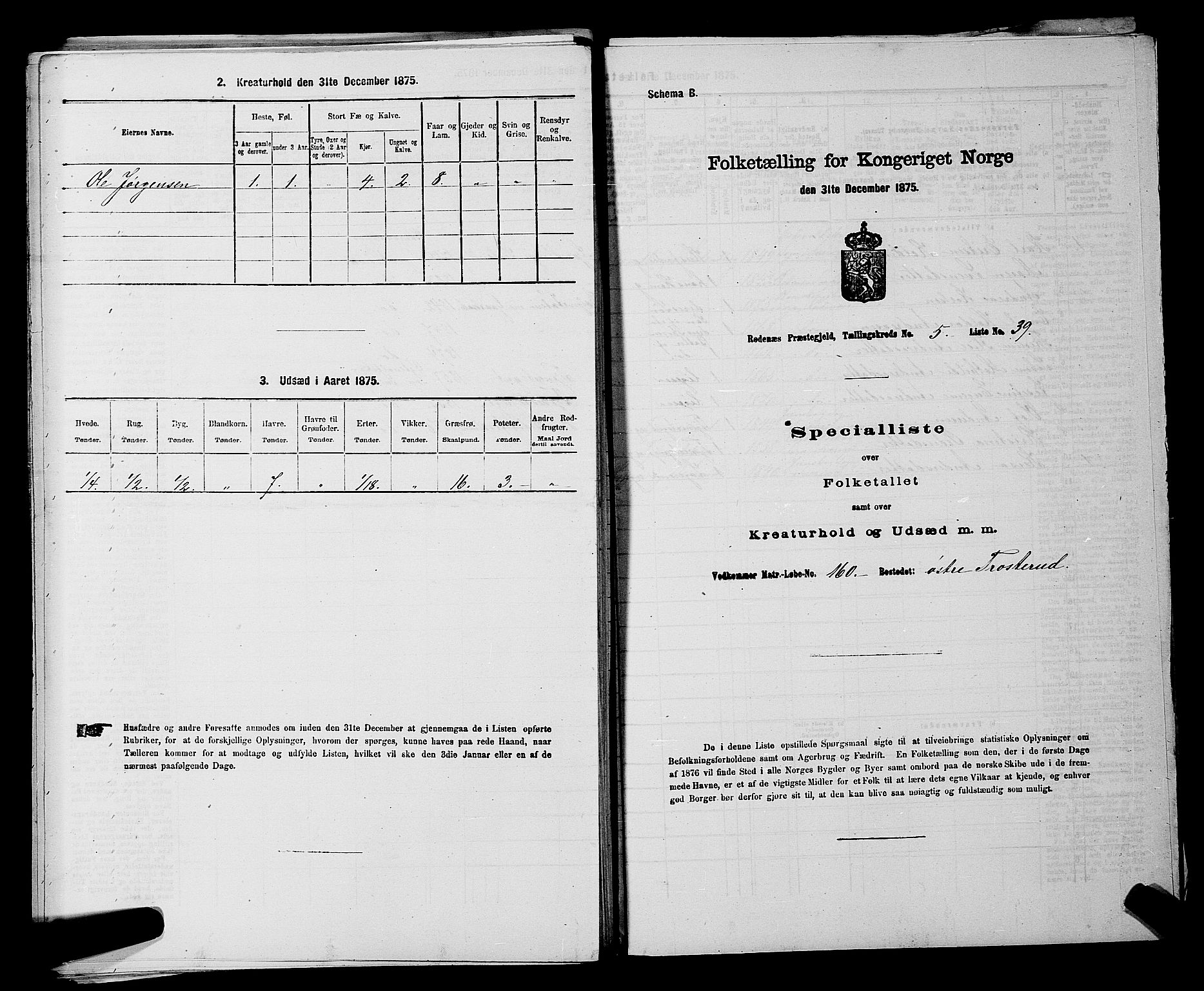 RA, 1875 census for 0120P Rødenes, 1875, p. 788