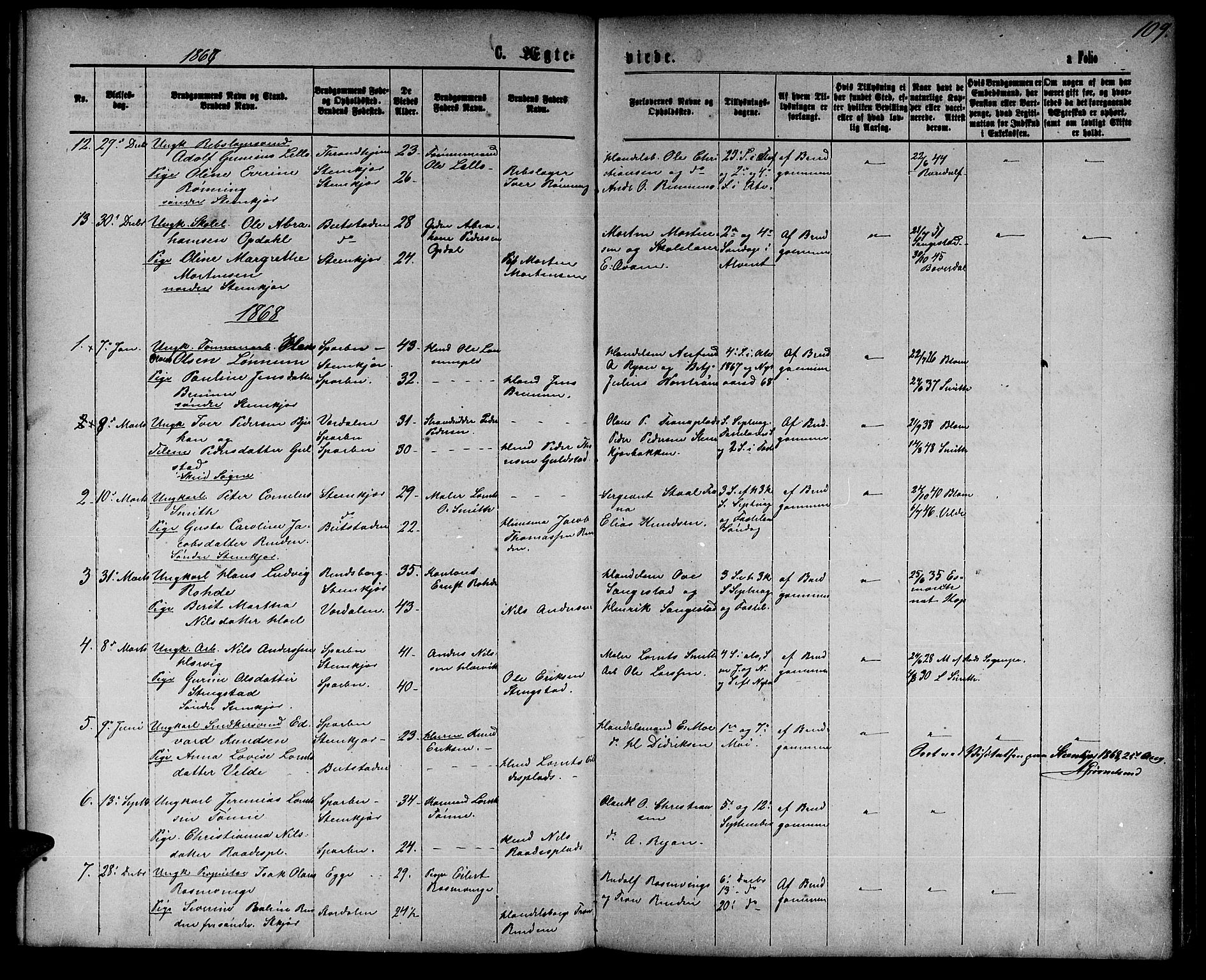 Ministerialprotokoller, klokkerbøker og fødselsregistre - Nord-Trøndelag, SAT/A-1458/739/L0373: Parish register (copy) no. 739C01, 1865-1882, p. 109