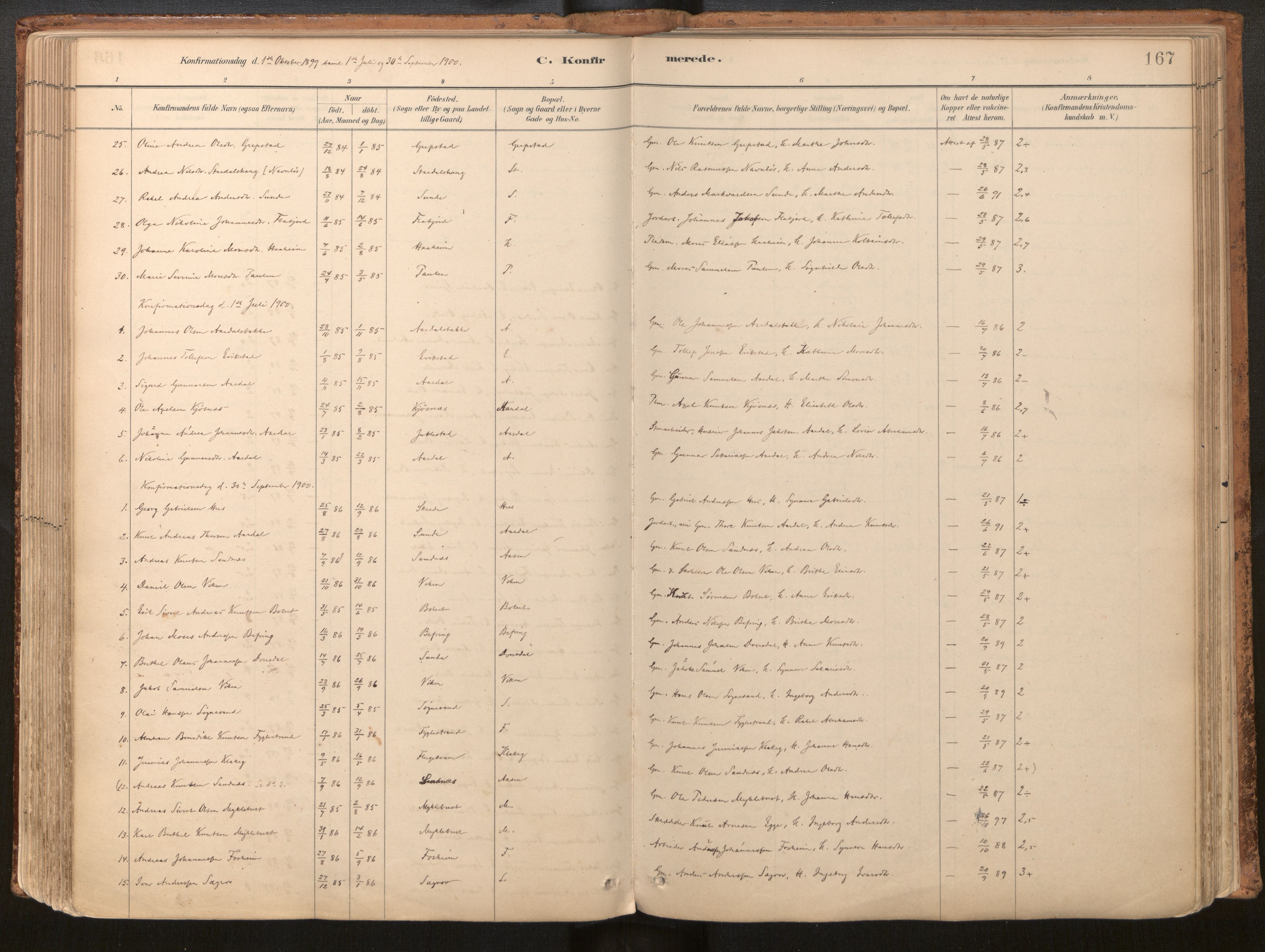 Jølster sokneprestembete, SAB/A-80701/H/Haa/Haac/L0001: Parish register (official) no. C 1, 1882-1928, p. 167