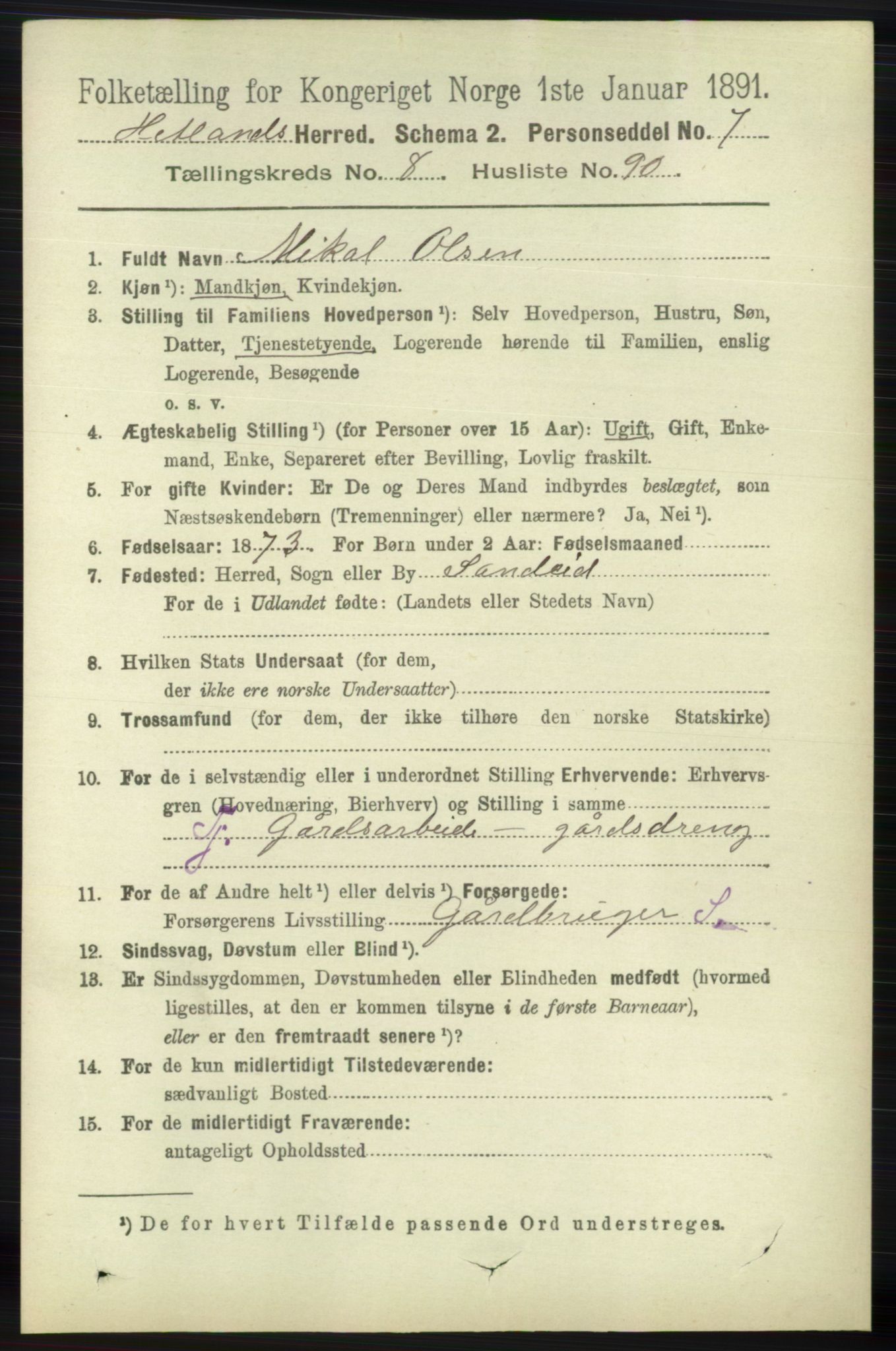 RA, 1891 census for 1126 Hetland, 1891, p. 4995