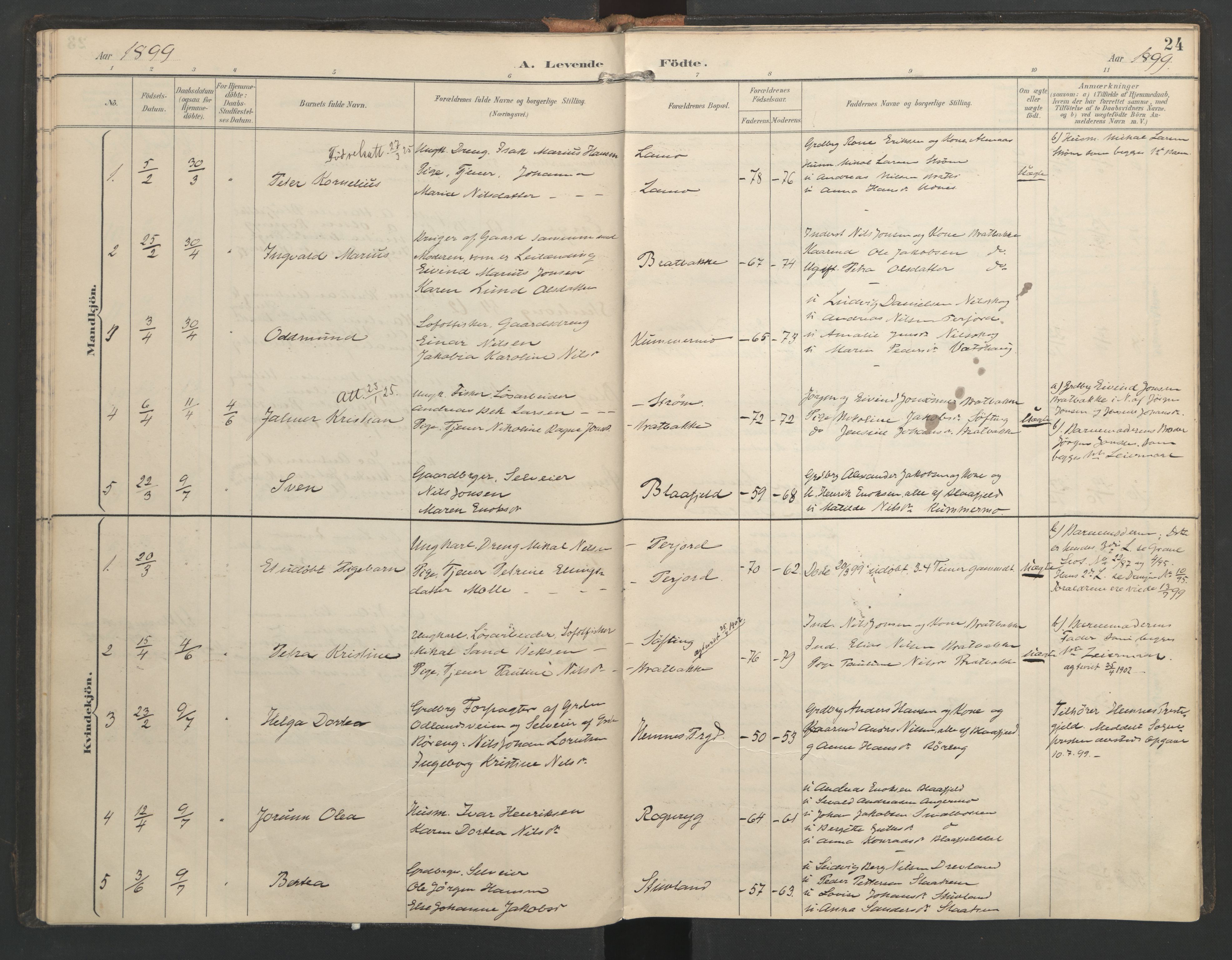 Ministerialprotokoller, klokkerbøker og fødselsregistre - Nordland, SAT/A-1459/821/L0317: Parish register (official) no. 821A01, 1892-1907, p. 24