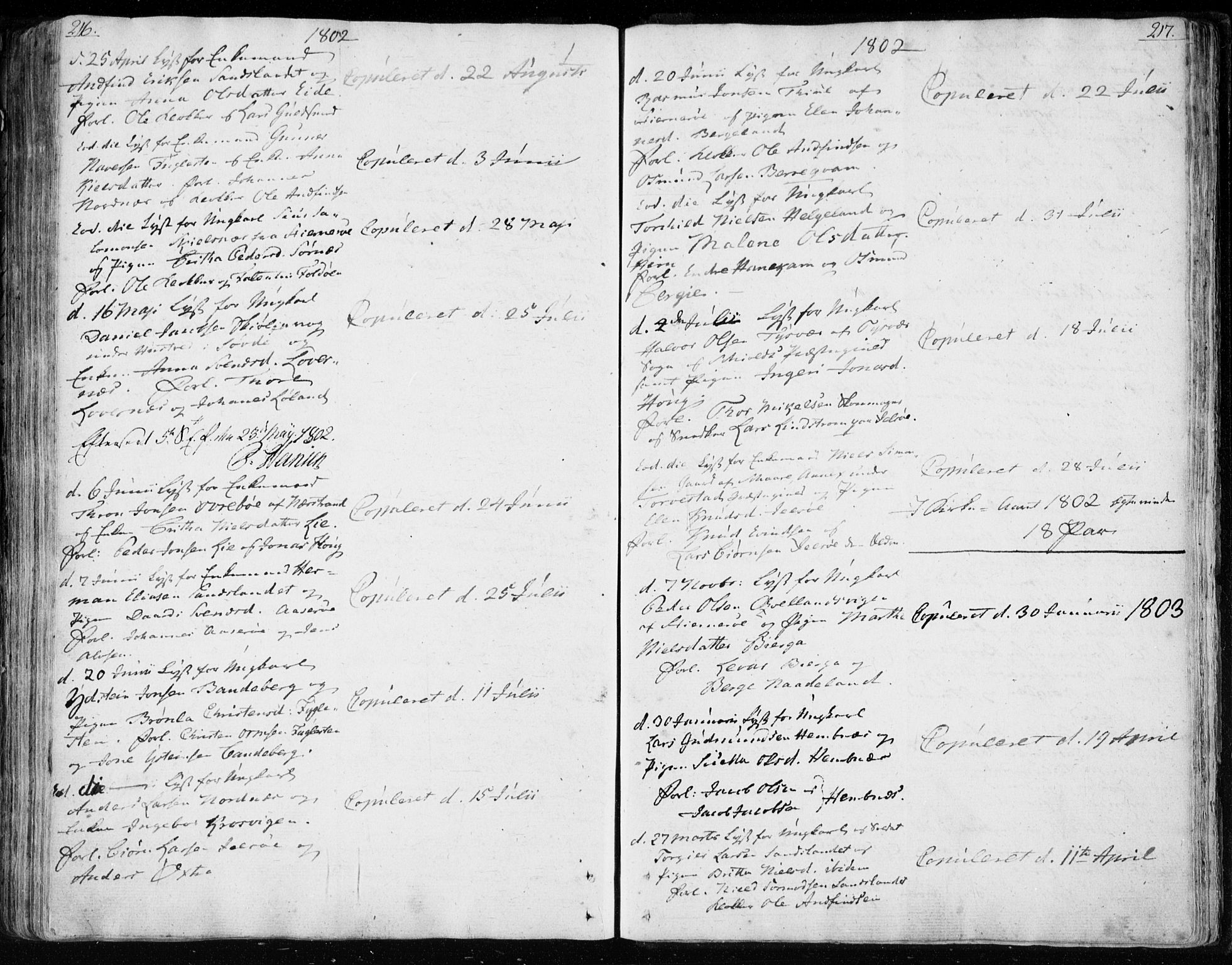 Jelsa sokneprestkontor, SAST/A-101842/01/IV: Parish register (official) no. A 4, 1796-1816, p. 216-217