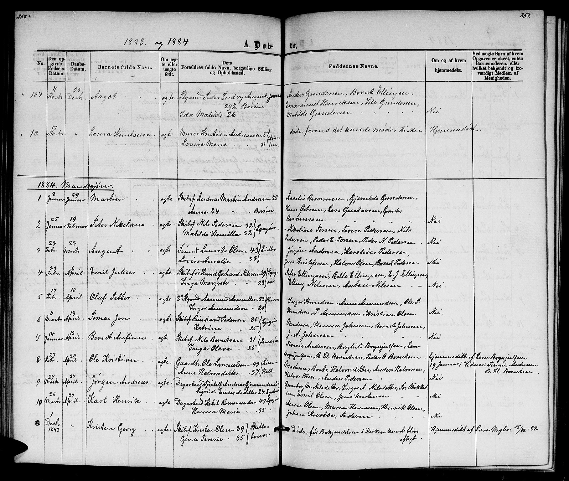 Dypvåg sokneprestkontor, SAK/1111-0007/F/Fb/Fba/L0012: Parish register (copy) no. B 12, 1872-1886, p. 250-251