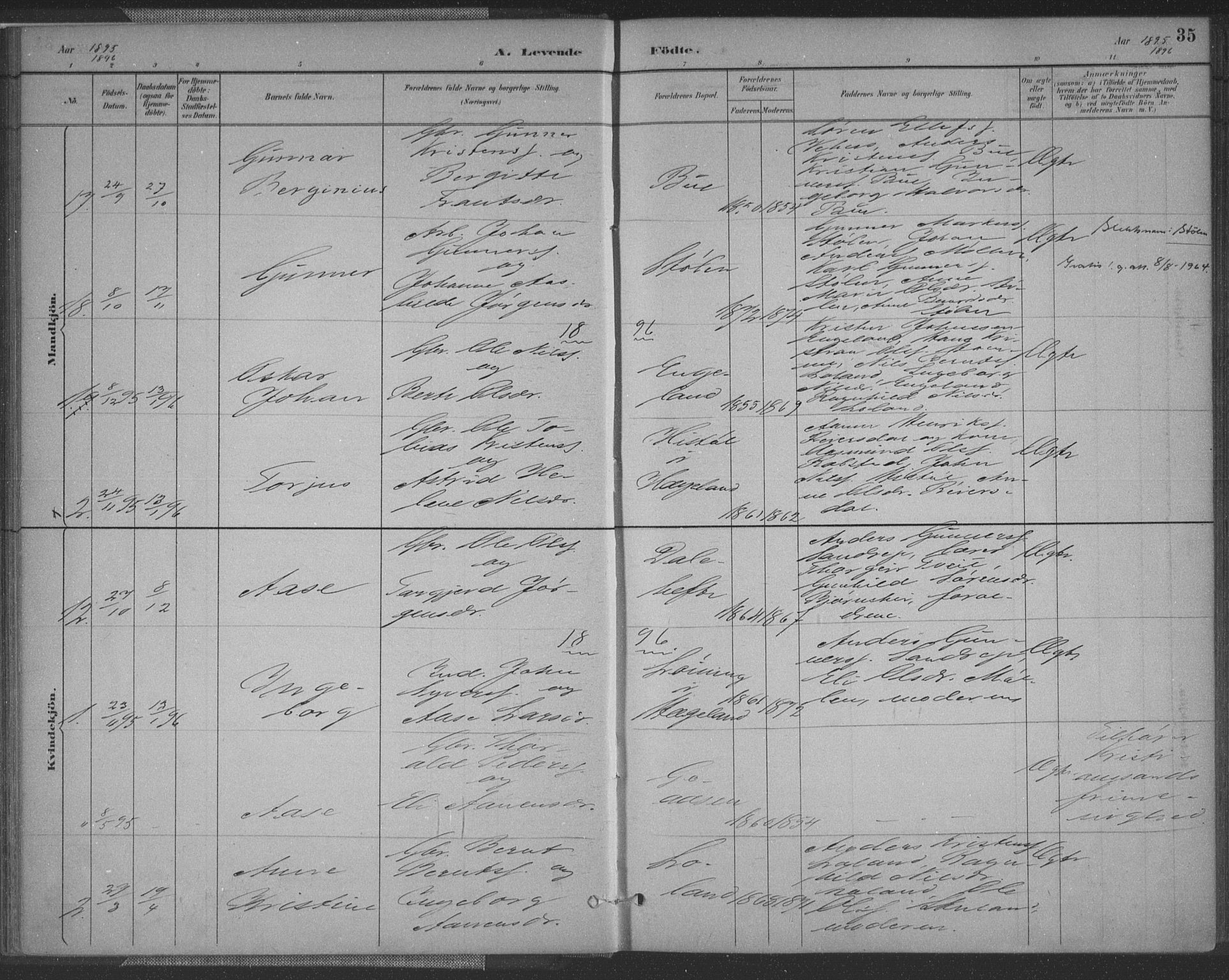Vennesla sokneprestkontor, SAK/1111-0045/Fa/Fac/L0009: Parish register (official) no. A 9, 1884-1901, p. 35