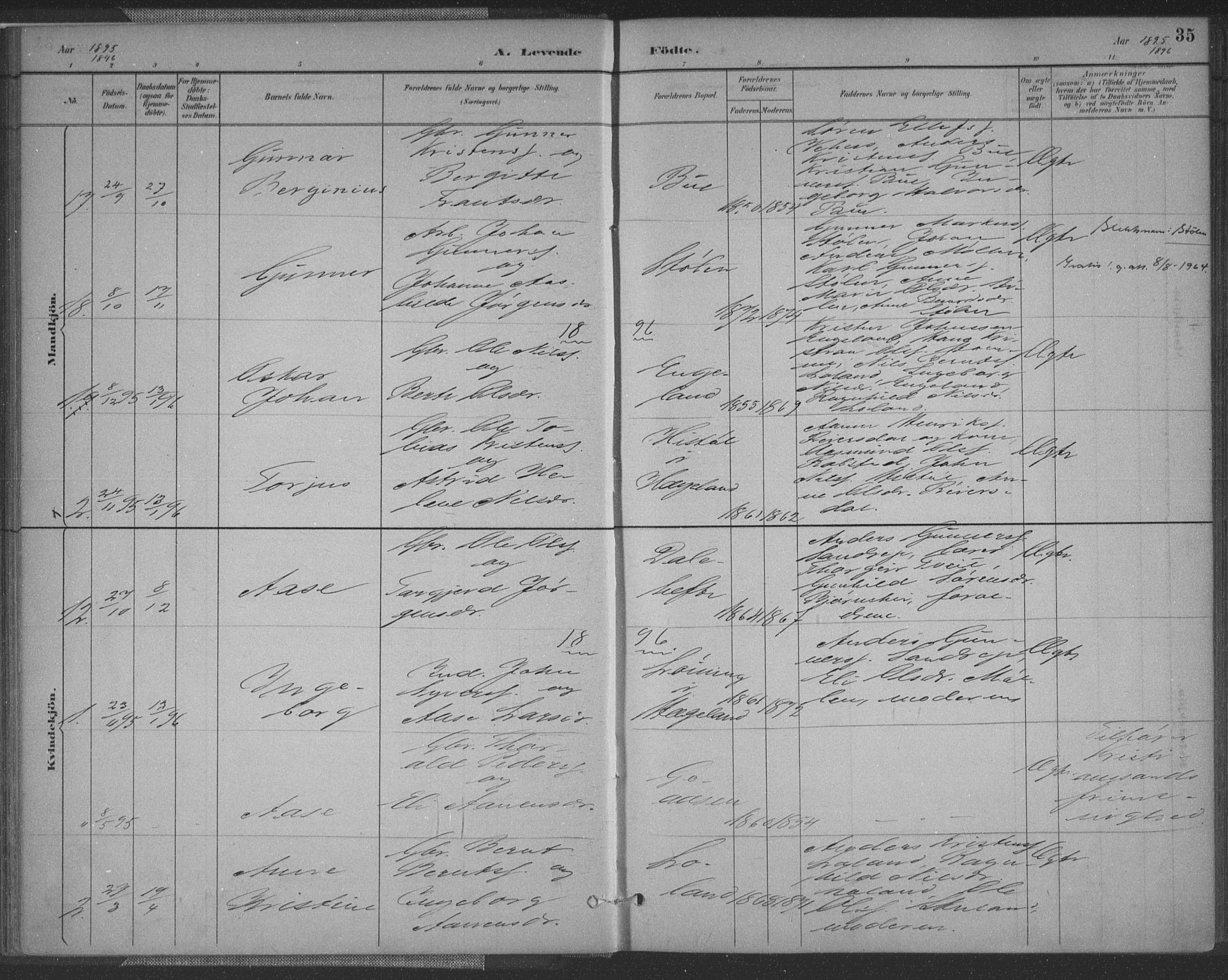 Vennesla sokneprestkontor, AV/SAK-1111-0045/Fa/Fac/L0009: Parish register (official) no. A 9, 1884-1901, p. 35